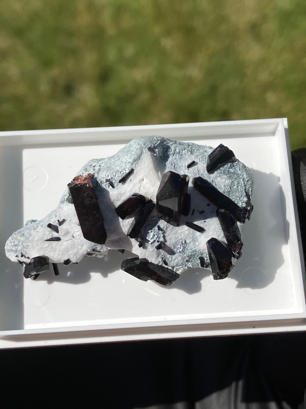 Neptunite Benitoite Mine, New Idria District, San Benito County, California, USA