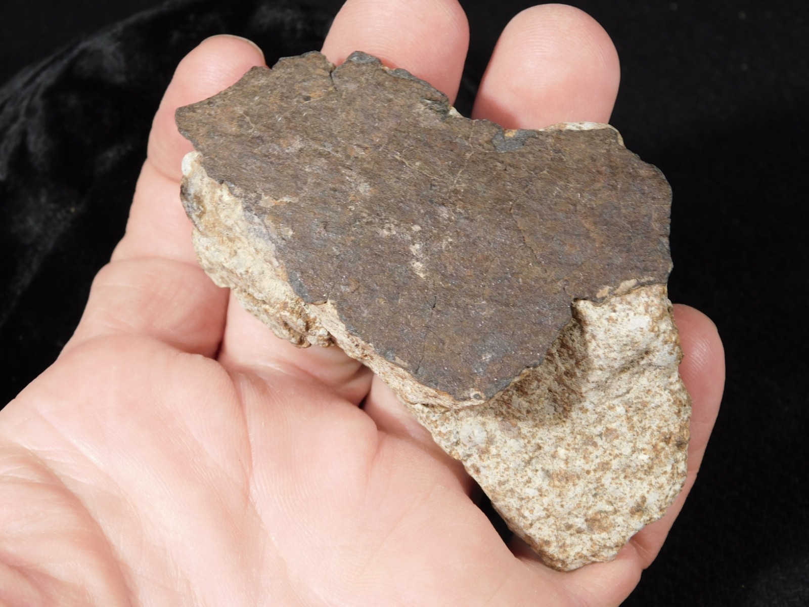 Larger! Classified NWA 8245 METEORITE 100% Natural! Erfoud, Morocco 184gr