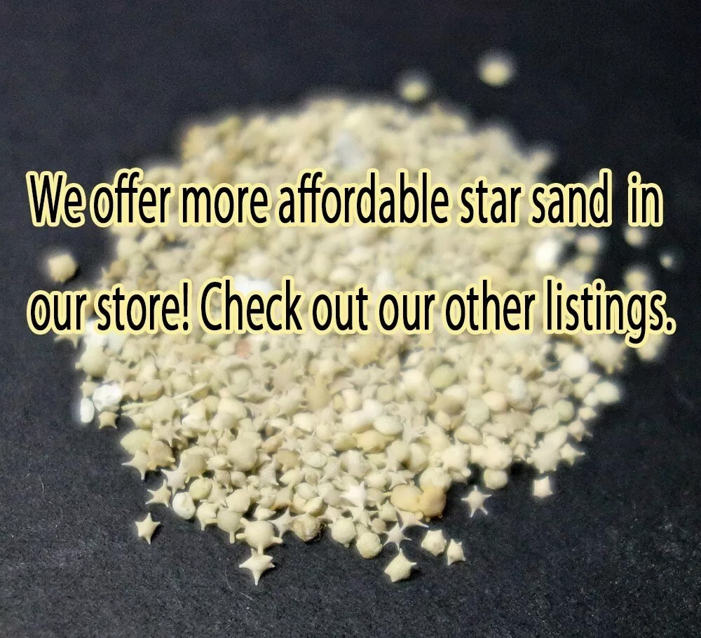 100 grams (3.52oz) – Natural Star Sand Sun Sand from Okinawa Japan beach