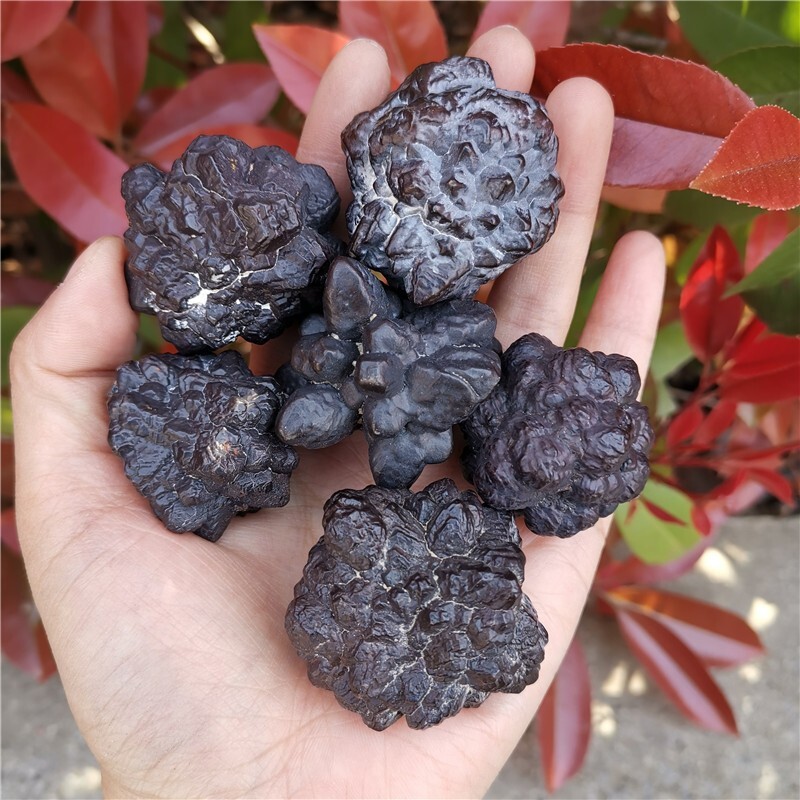 3pcs Natural Raw Rough Rare Prophecy Stone Pseudomorph Crystal Chunks Specimens