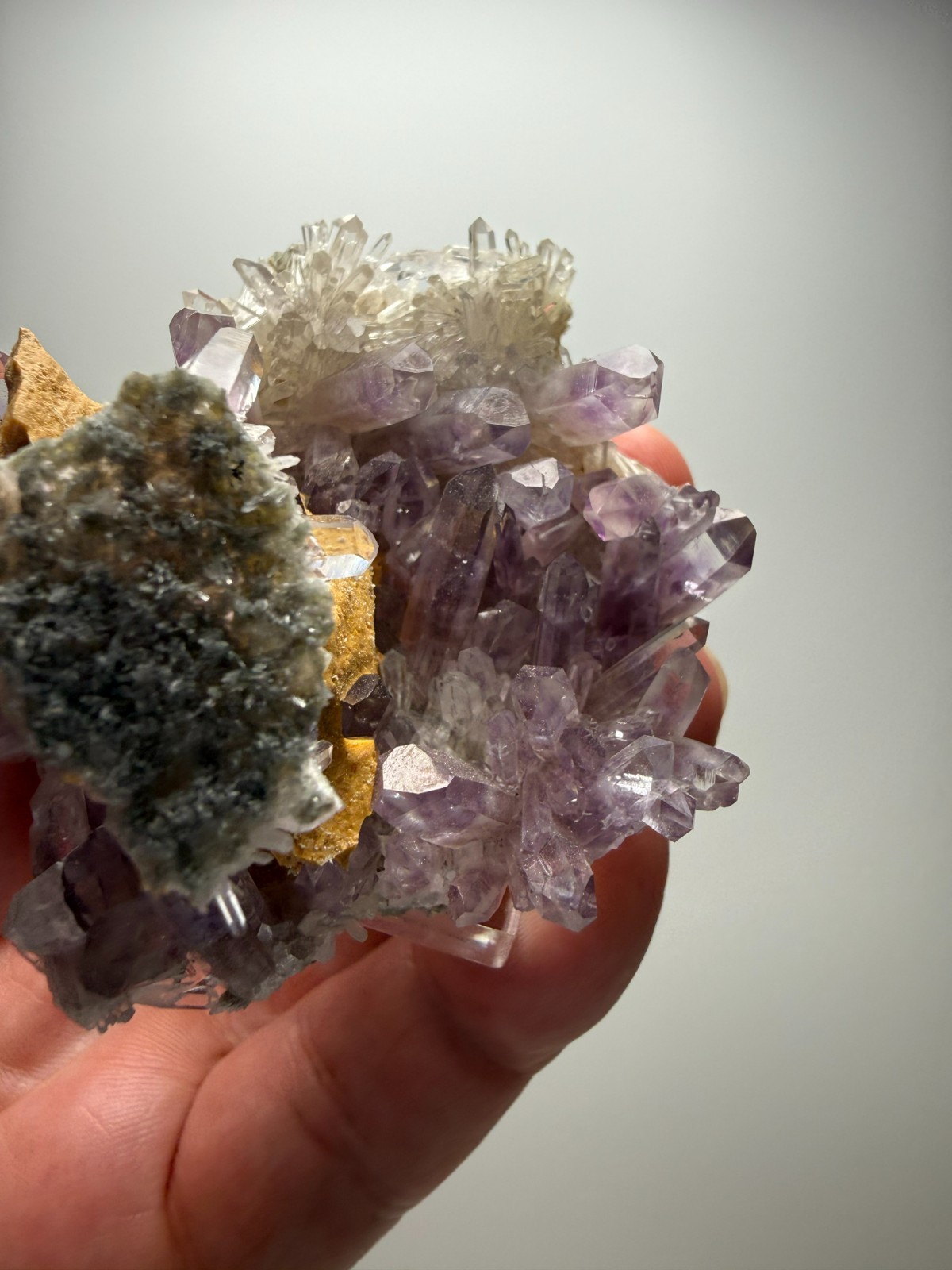 Stunning Amethyst cluster- unique formation! Las Vigas de Ramirez, Mexico