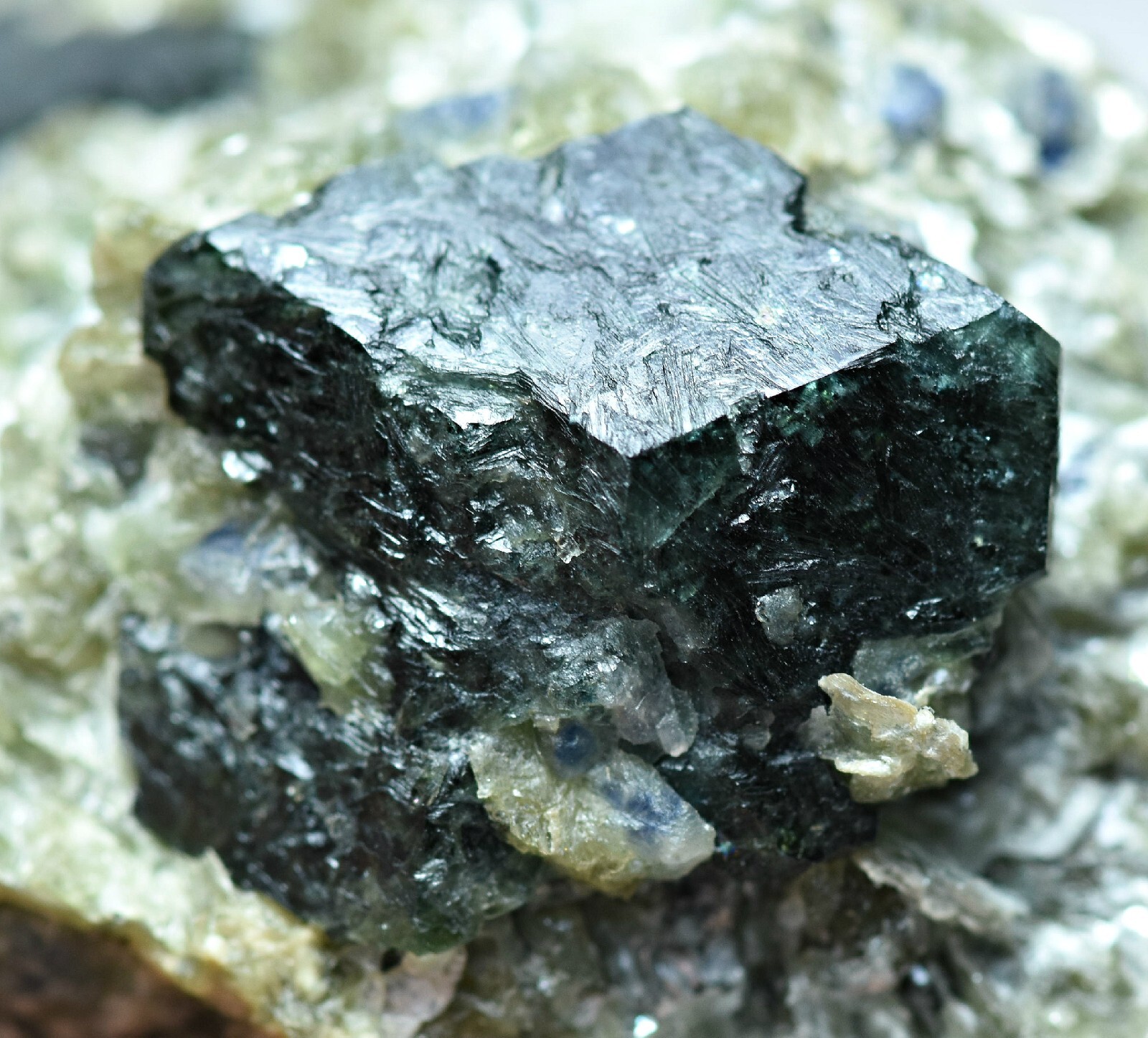 179 Gram Rare Dravite Tourmaline Crystals with Sapphire Crystals On Mica Matrix