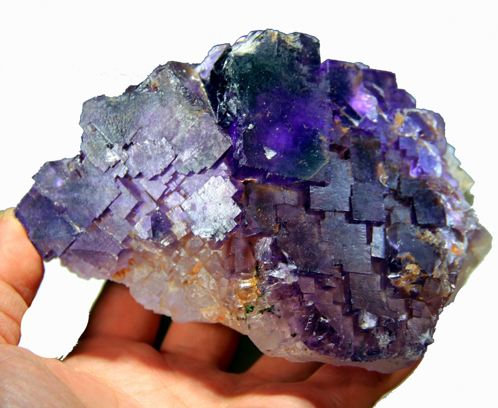 5.25″ Gorgeous FLUORITE on Matrix, Cave-in-Rock, Hardin County, Illinois! FL366