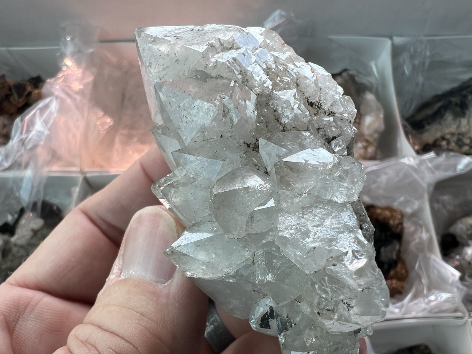 12 Quartz & Siderite Specimens – Potosí Mine, Santa Eulalia, Chihuahua, Mexico