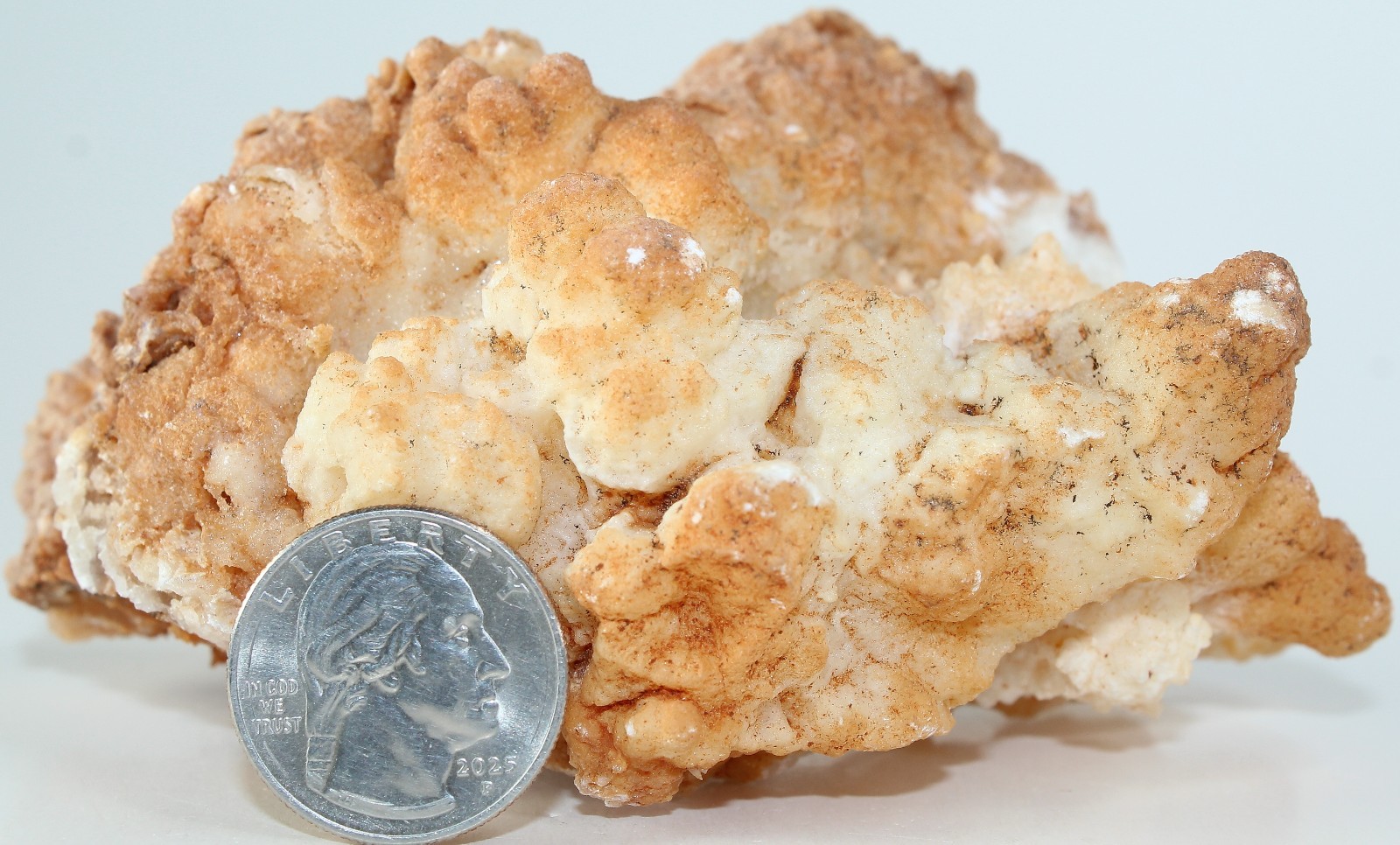 AAA Moroccan Cauliflower Calcite / 4.52″ (114.80mm) / 12.70 oz (360.03gr) / 4047