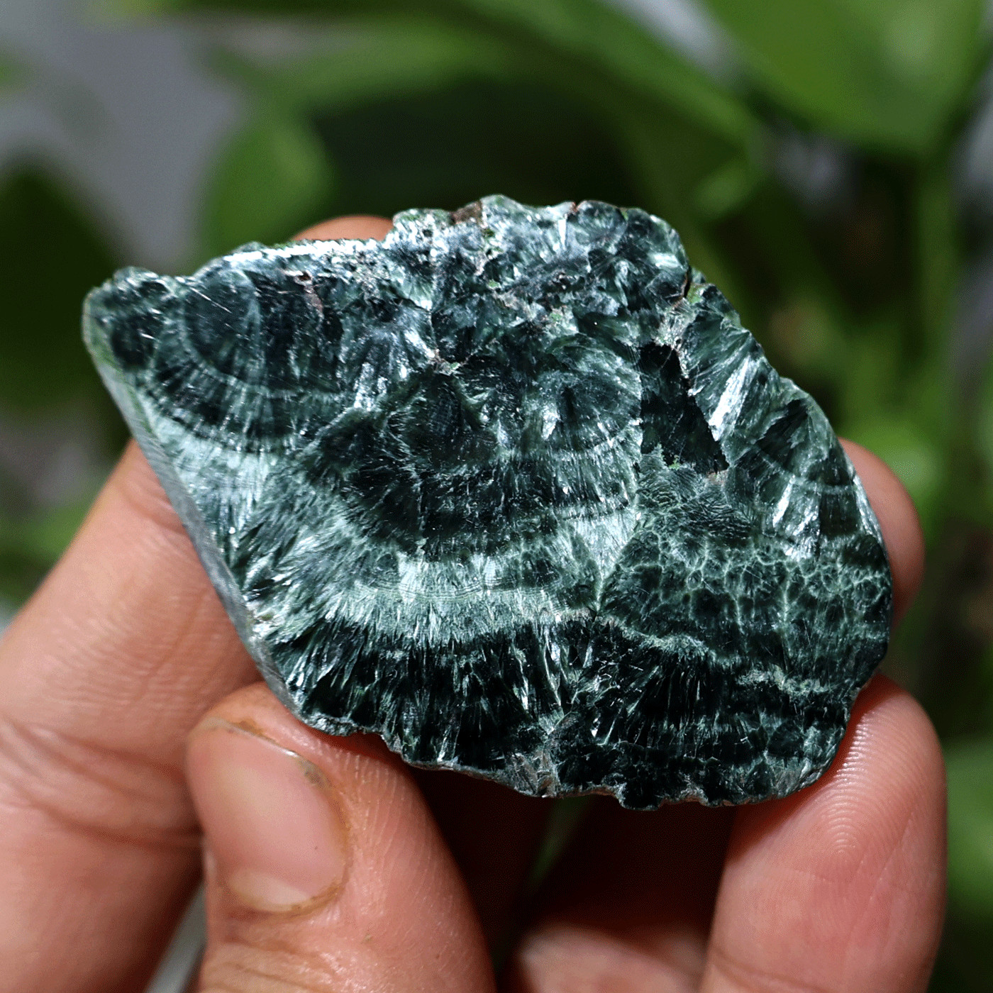 Angel Feathers~ 16.6g Natural Seraphinite Chatoyant Polished Palm Crystal Slab