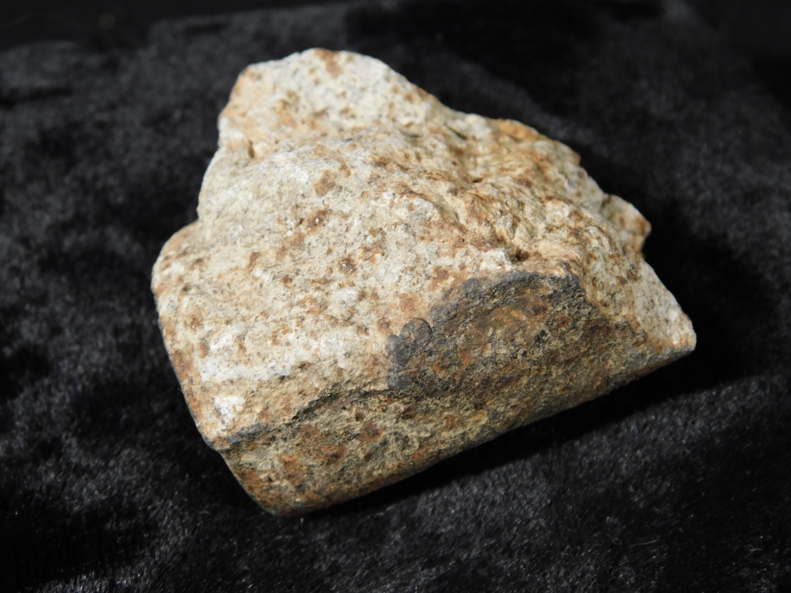 Classified NWA 8245 METEORITE 100% Natural FELL in Erfoud, Morocco 63.2gr