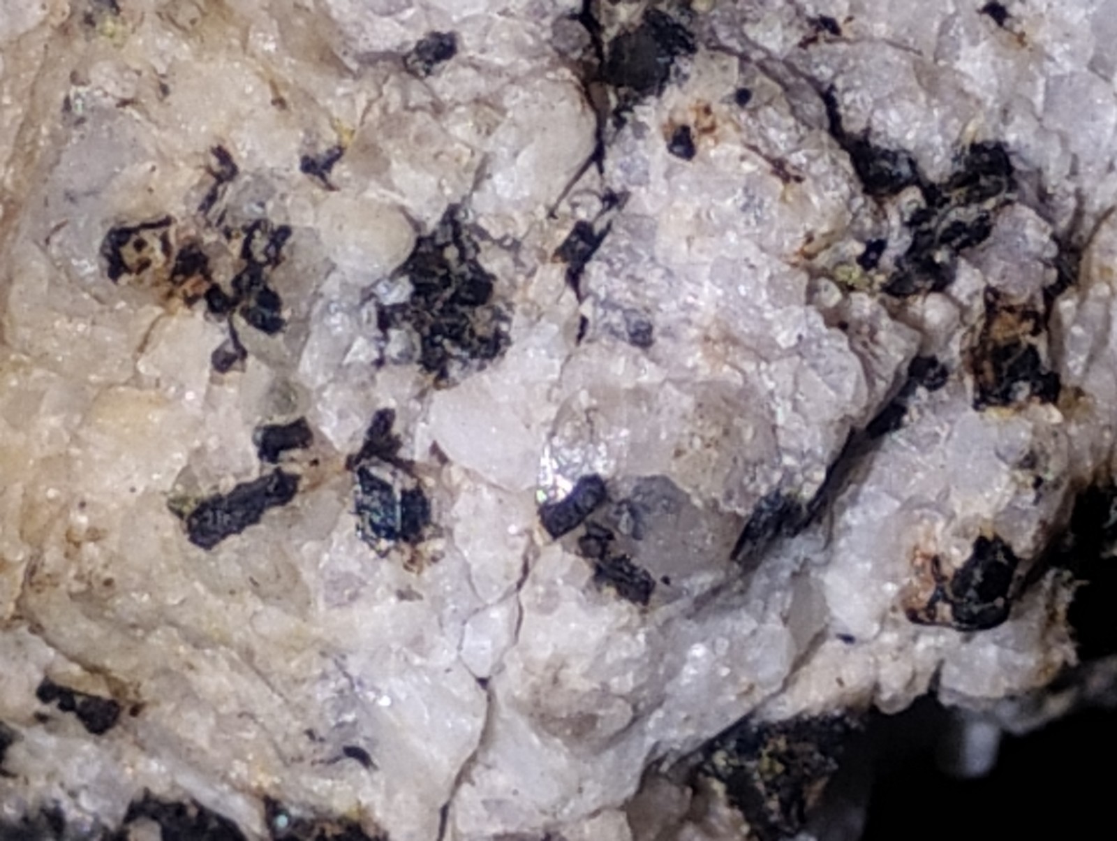 Polymetallic Ore Matrix Quartz, Pyrite & Silver/Black Sulfides – Blue Mountain?