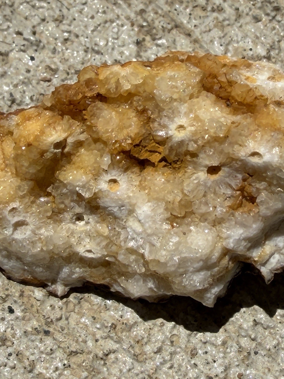 Kentucky Fossil Coral in Chalcedony/Quartz Natural Specimen – Raw Unpolished