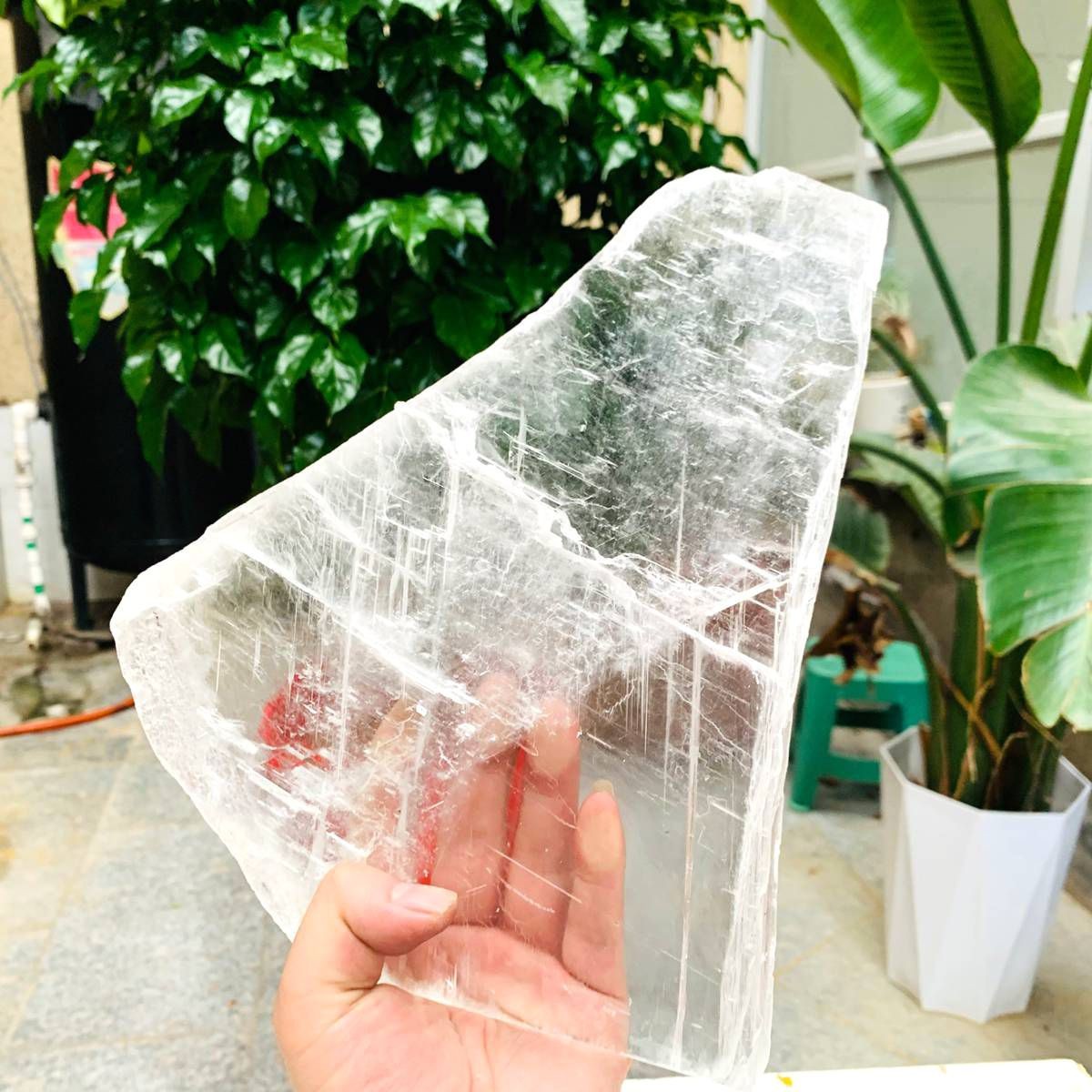 3.59LB Natural Clear Transparent Selenite Slab Gypsum Crystal Mineral Specimen