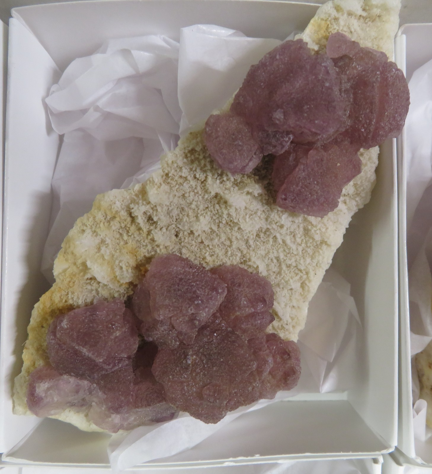 6 Piece Deep Purple Fluorite on Quartz Specimen Flat La Lupita Durango Mexico