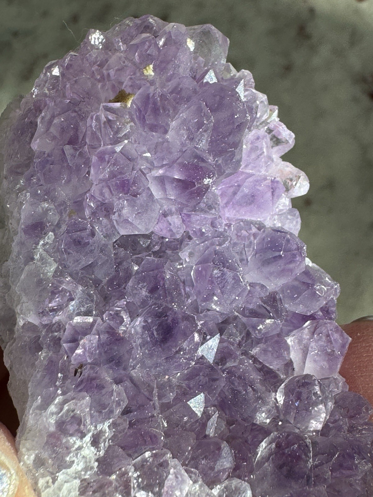 ✨Amazing African Amethyst Cluster