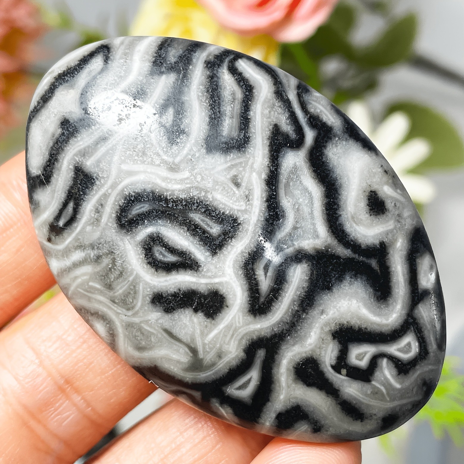 3PC Wholesale Natural Crystal Picasso Jasper Palm Stone Quartz Healing Decor