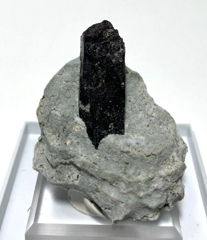 Stunning Neptunite 40mm crystal on Crossite matrix. San Benito California