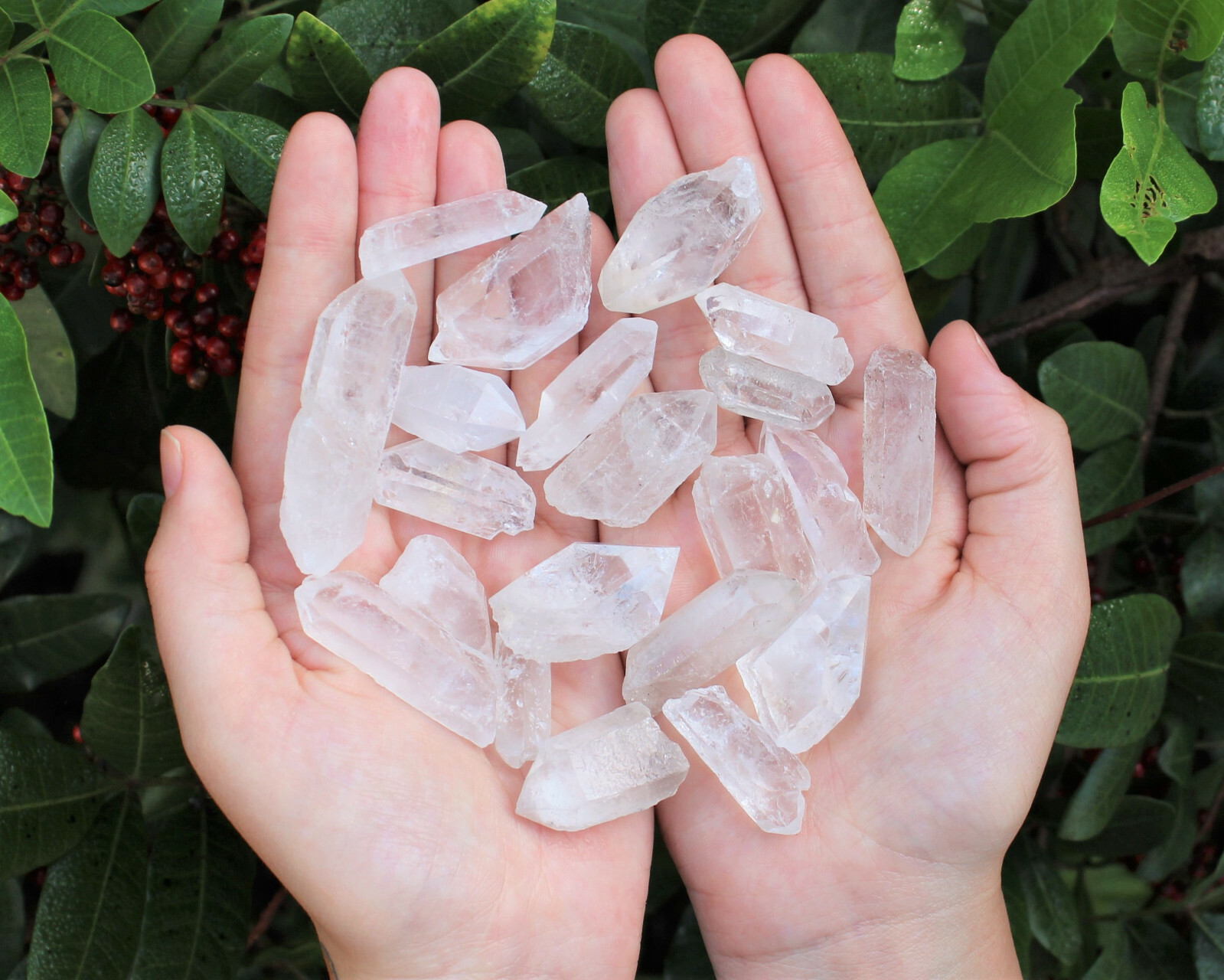 5 lb Natural Clear Quartz Crystal Points Wholesale Bulk Lot (Healing Crystals)