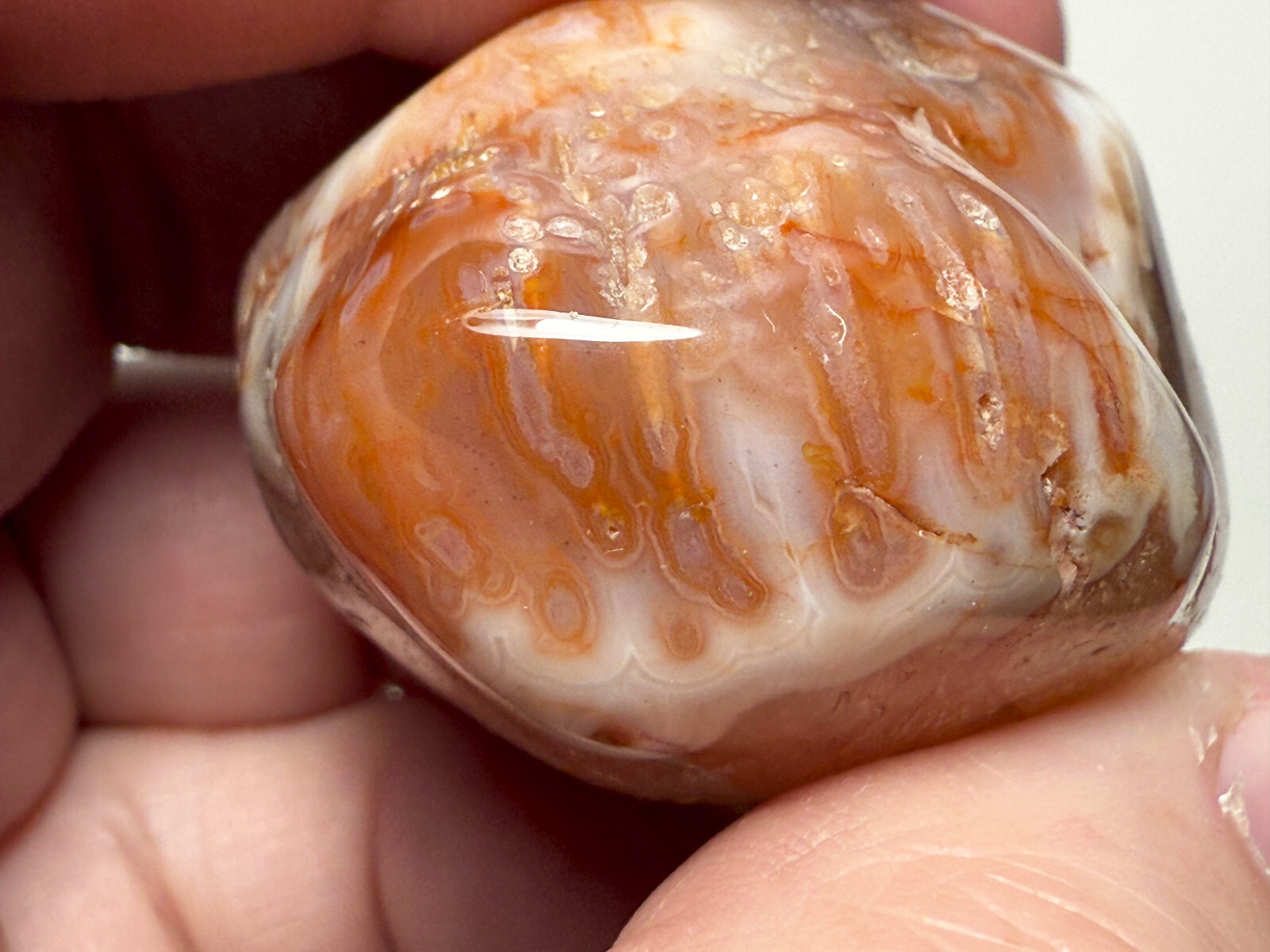 2.0 oz Michigan Minnesota Lake Superior Agate LSA #18 EYES BANDS (polished