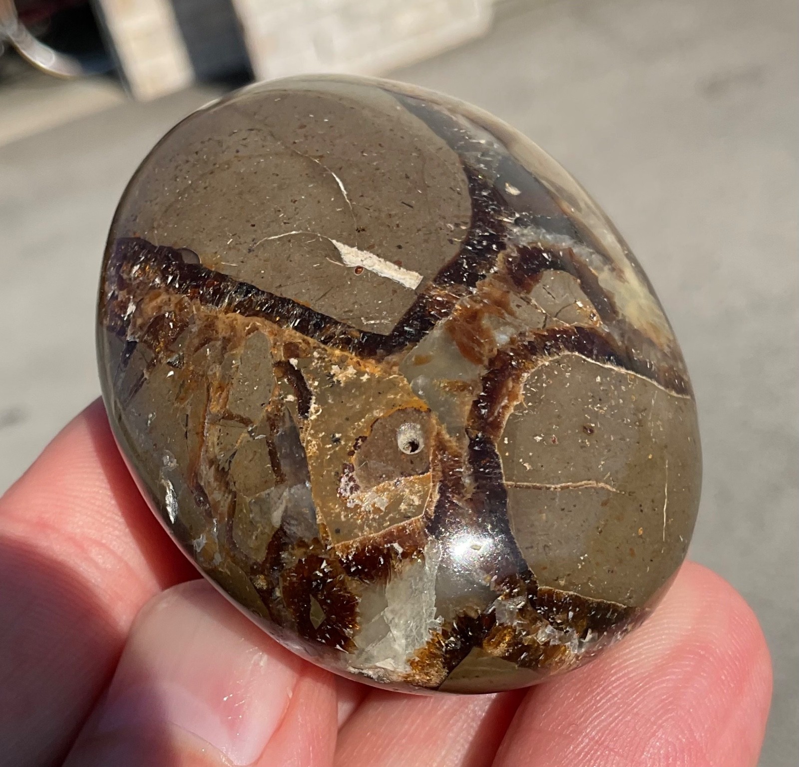 118g Polished Septarian Palmstone Dragon Egg Geode Fossil Worry Stone