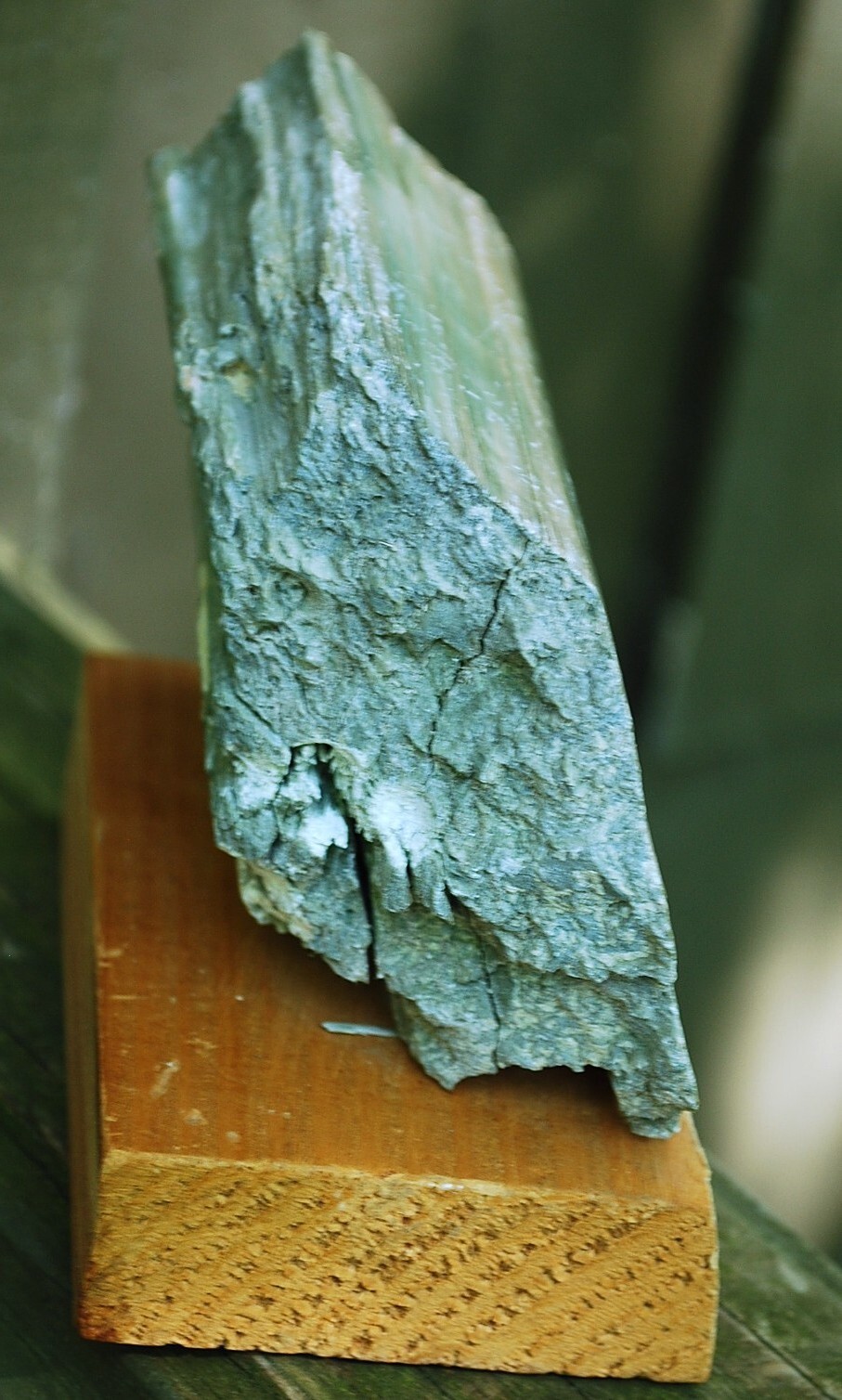 Natural GREEN SERPENTINE STONE Mineral MUSEUM NMBR SPECIMEN Quebec MOUNTED 4.25″