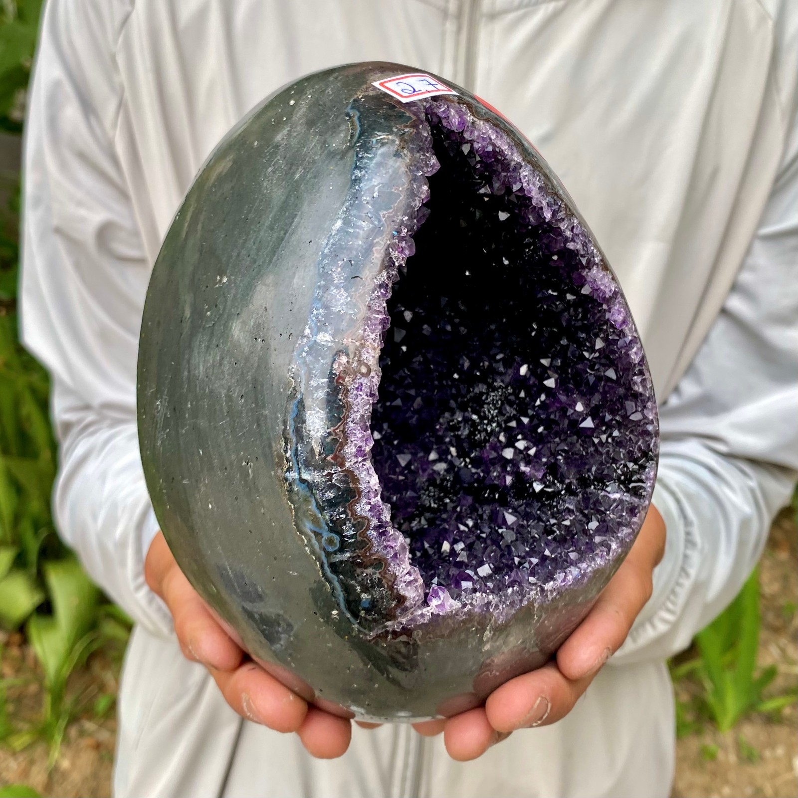 5.99LB High quality Natural Amethyst geode quartz crystal Dinosaur egg healing