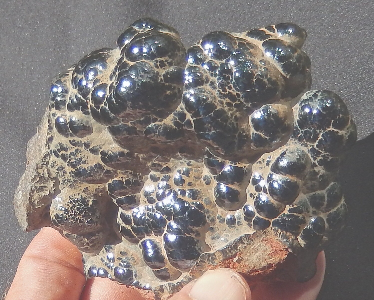 HEMATITE KIDNEY ORE FINE GRADE NATURAL BOTRYOIDAL SPECIMEN 1.26 LBS-572 GRAMS