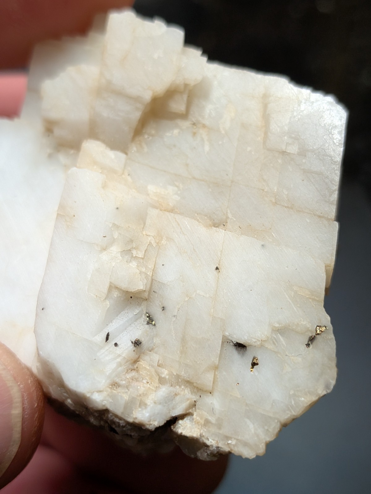 Calcite With Chalcopyrite And Fluorescent Bitumen And Fluorite, Kentucky