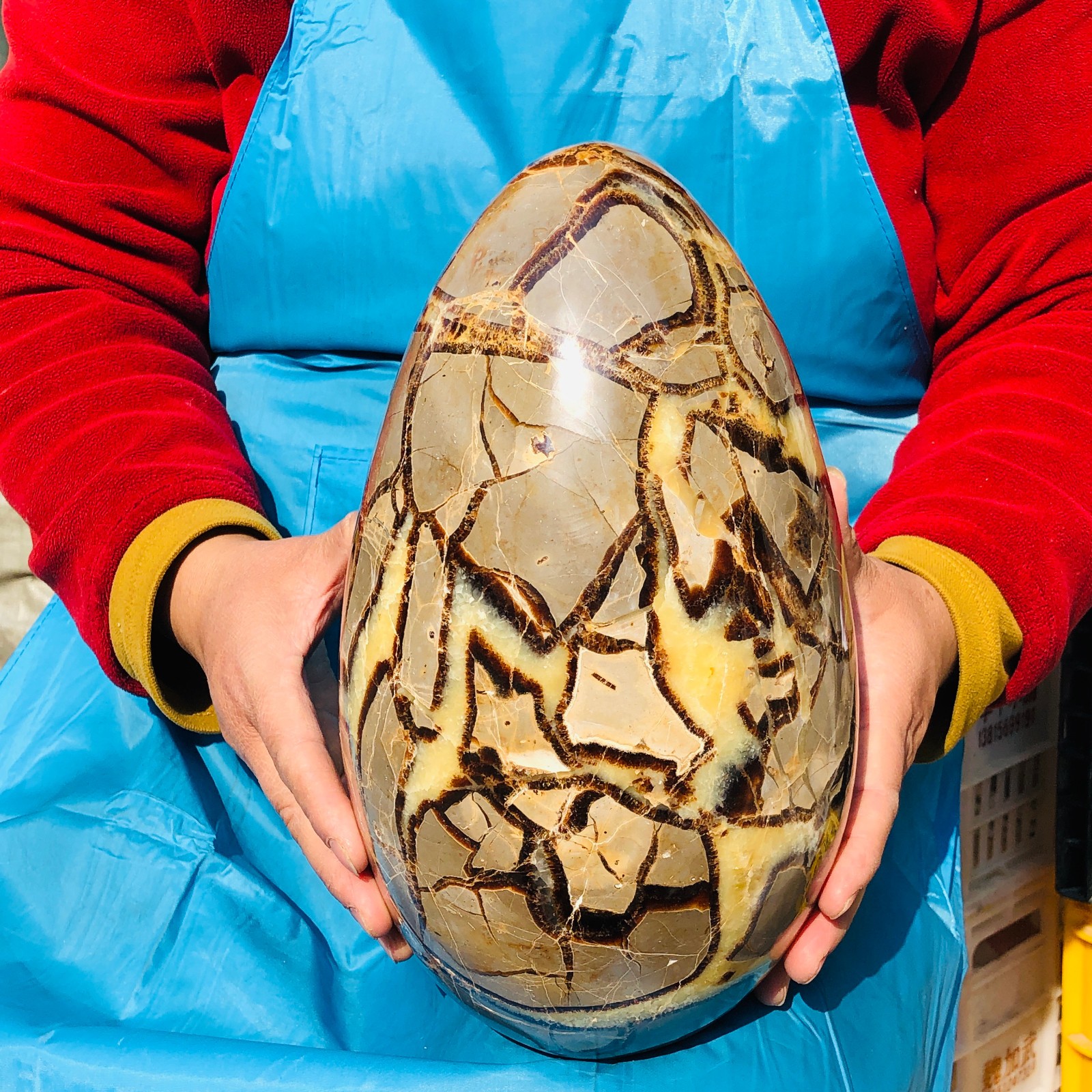 10kg Natural Dragon Septarian egg Quartz Crystal decoration
