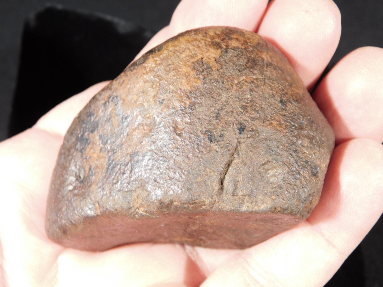 Nice! and 100% Natural Stony METEORITE FELL in Libya 181gr
