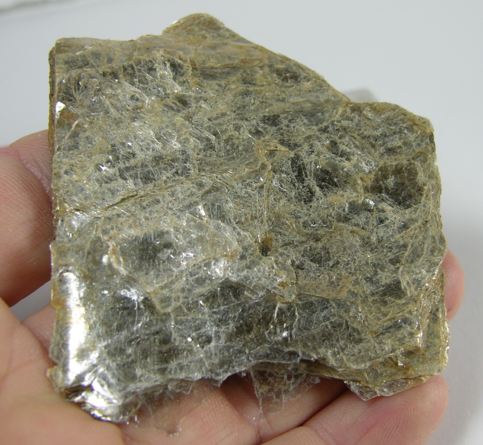 #0 2 3/8 in Coastville Pa USA 100% Natural Raw Silver Mica Specimen 61.00mm