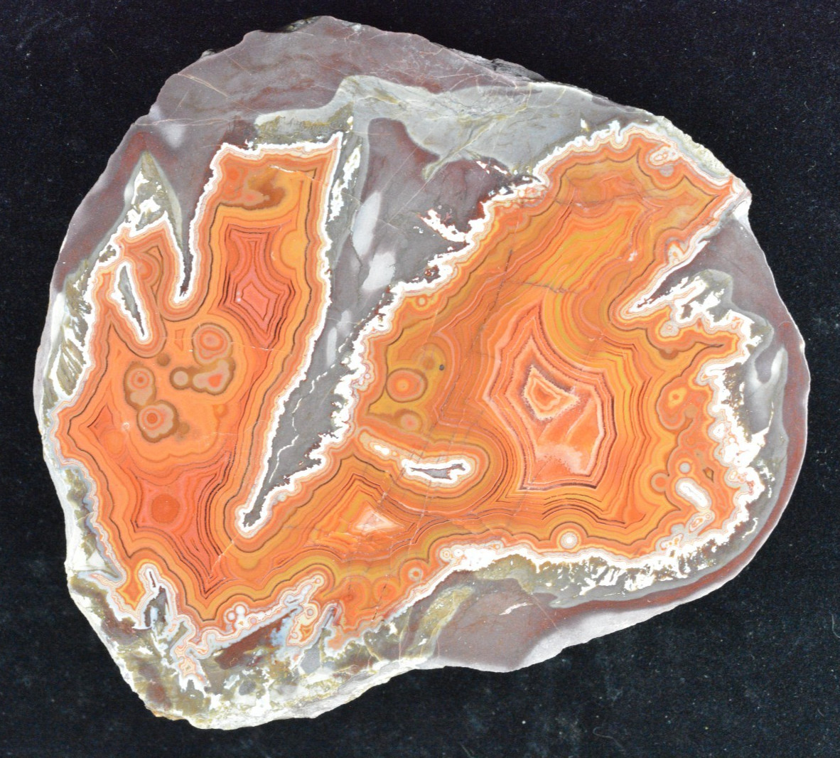 Large Dryhead Agate, Polished, Montana, 5.5×5.25×2″