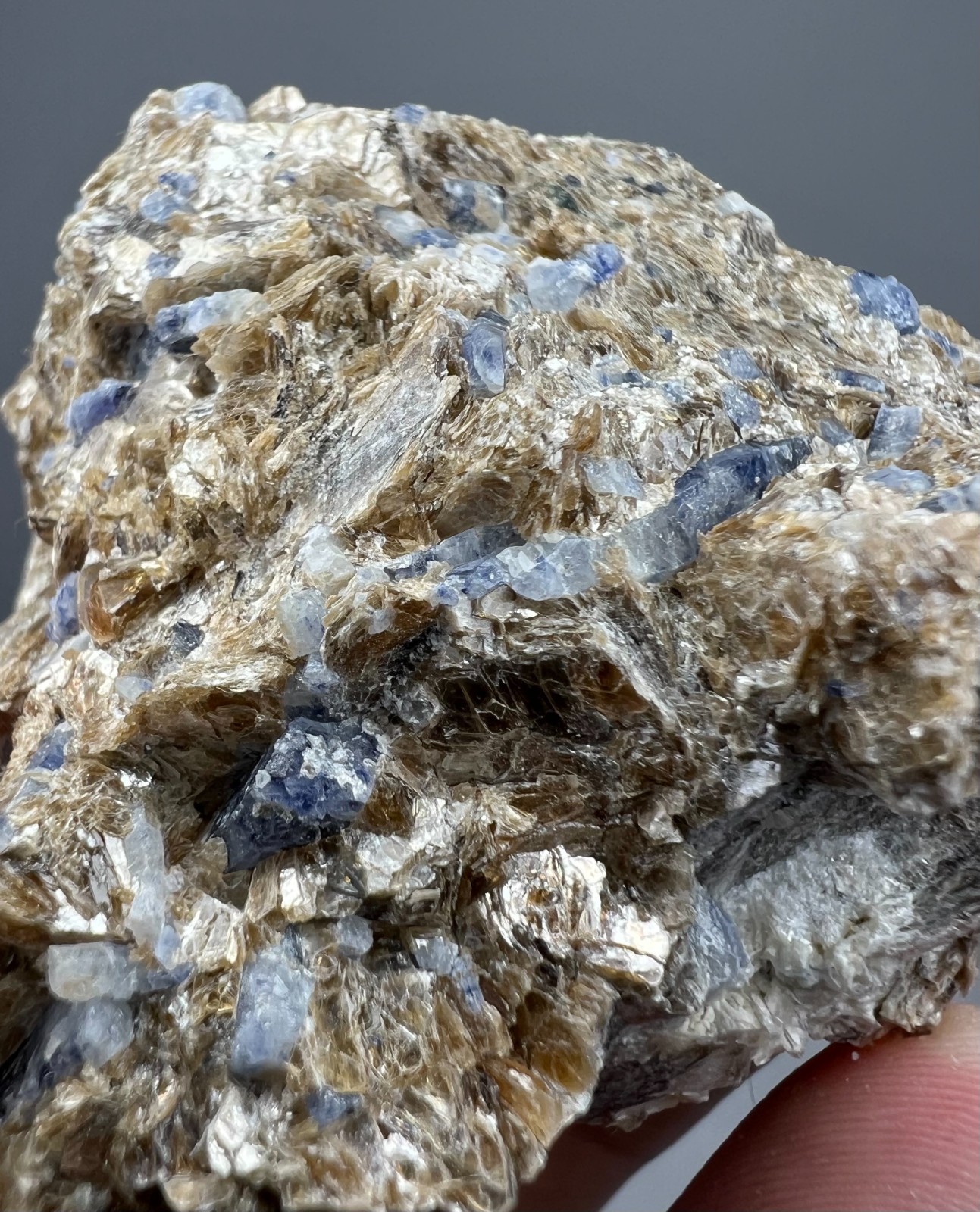 217 GM Sapphire Crystals On Mica Matrix – Badakhshan AFG – Combine Shipments