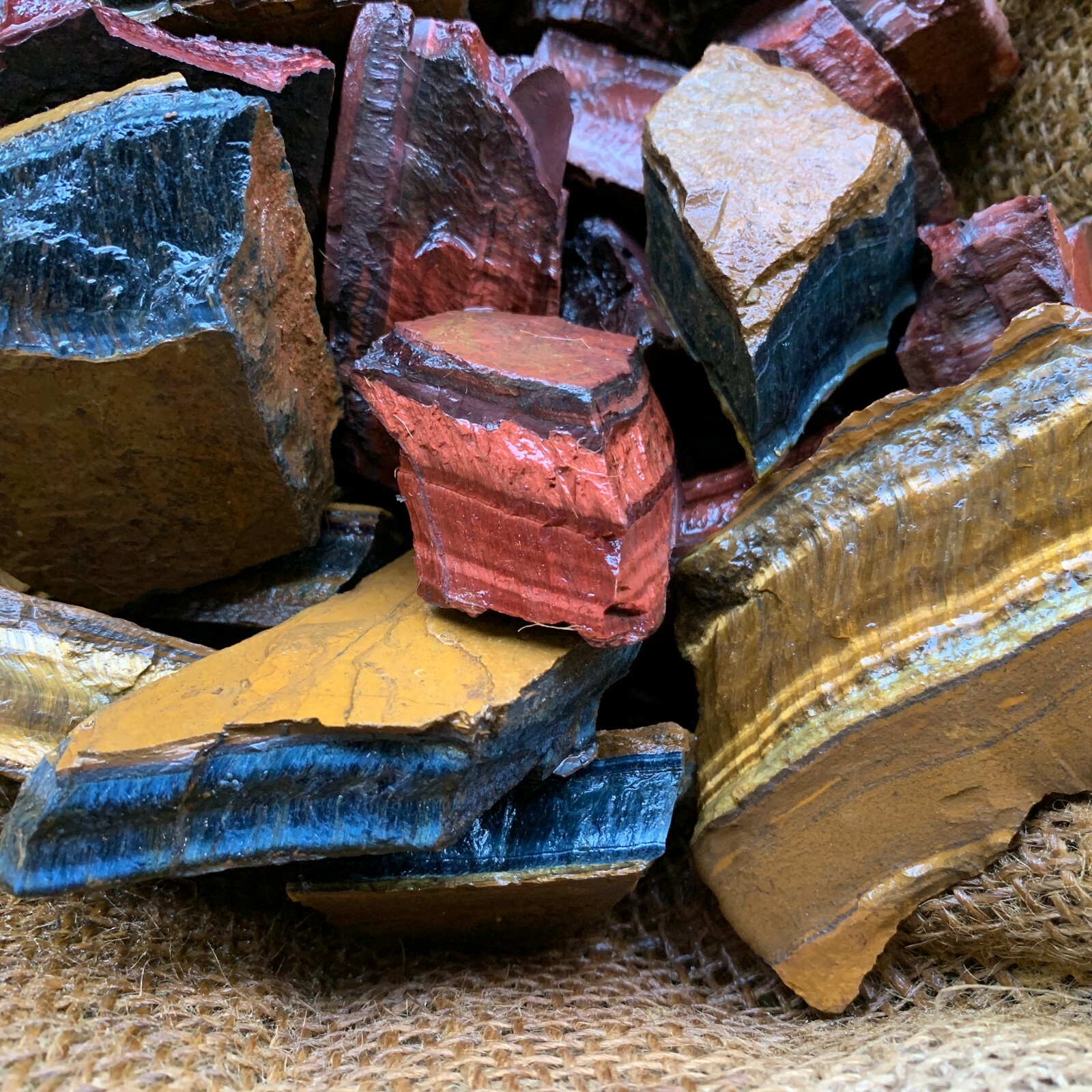 MIXED Tiger Eye Rough (RED, BLUE, GOLD) – 500 Carat Lots+a FREE Faceted Gemstone