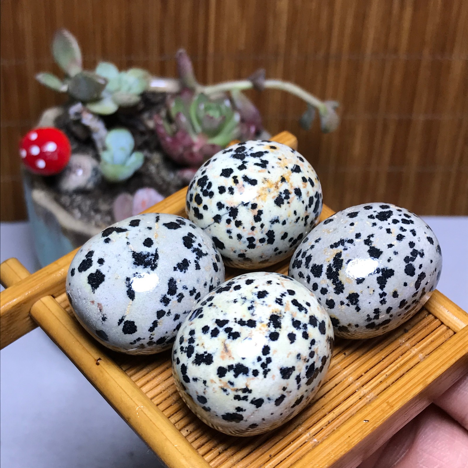 28-23-23mm 4Pcs Natural spotted stone Crystal gemstone Mineral Specimen A4404