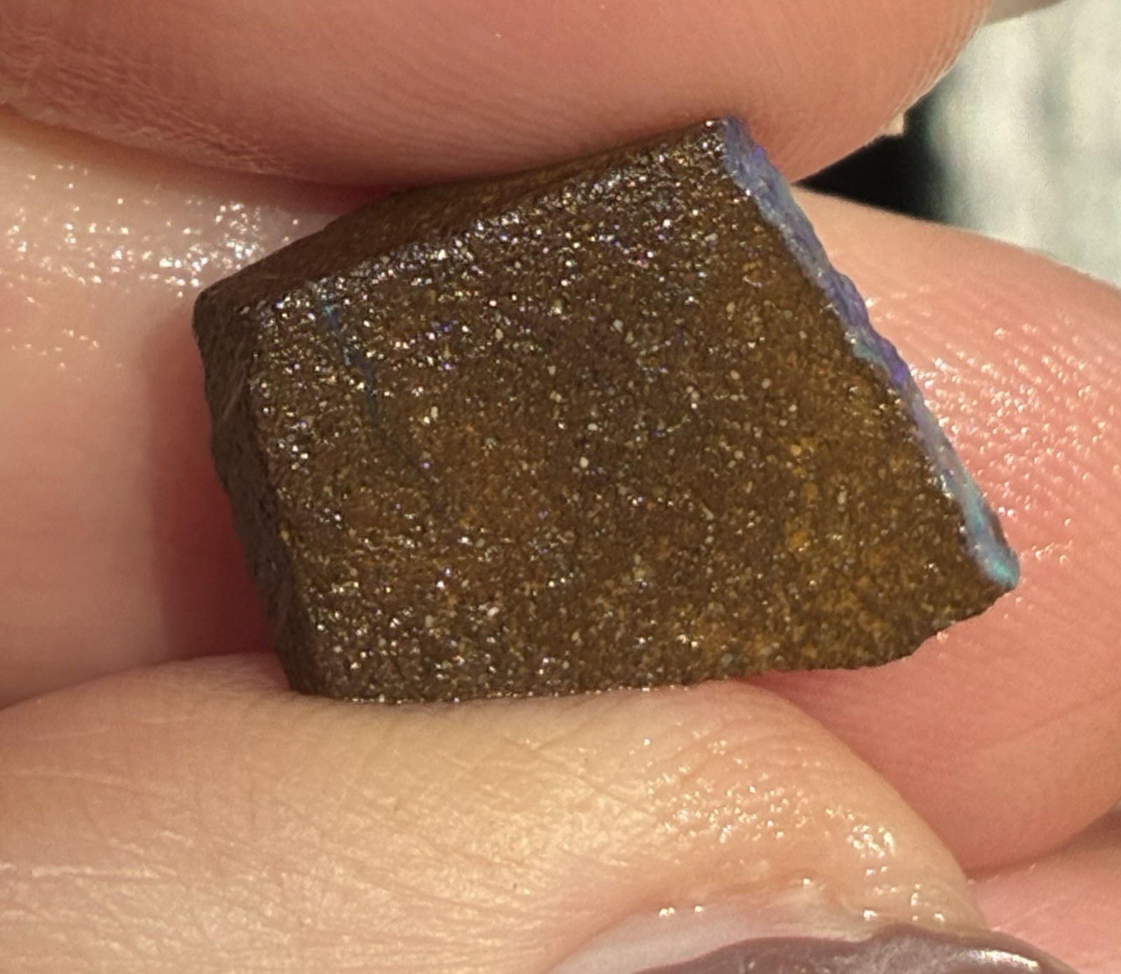 6ct Australian Small Pretty Boulder Opal Rough Loose Multicolor Specimen A21
