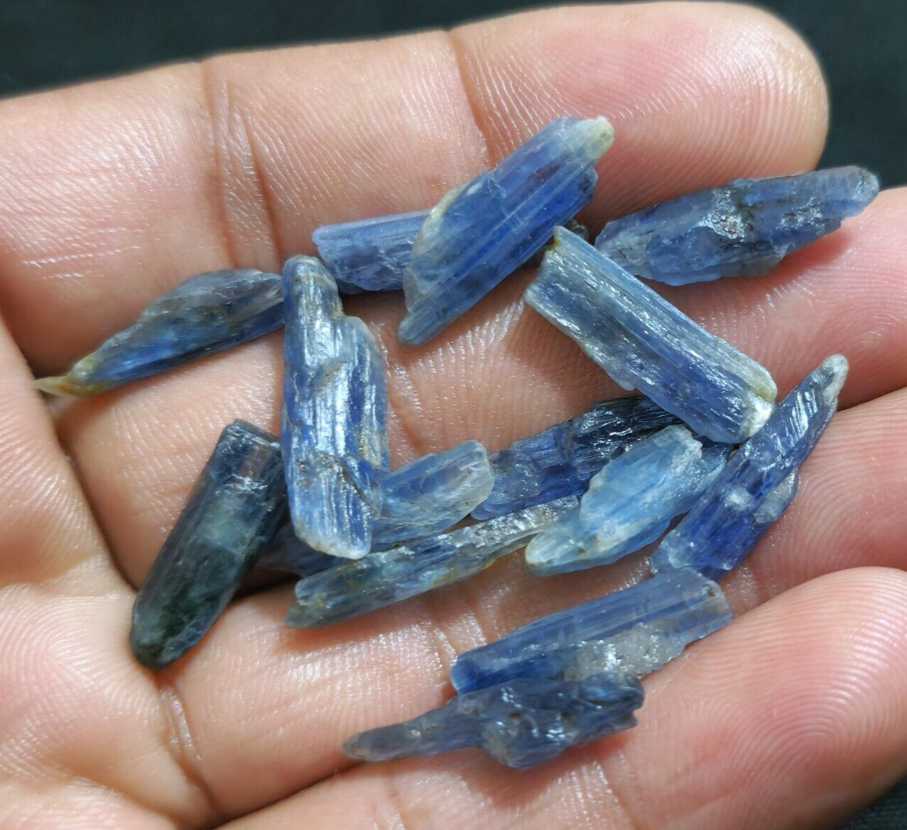 Amazing Quality Blue Kyanite Raw 14 Pcs Lot Size 18-23 MM Huge Loose Gemstone