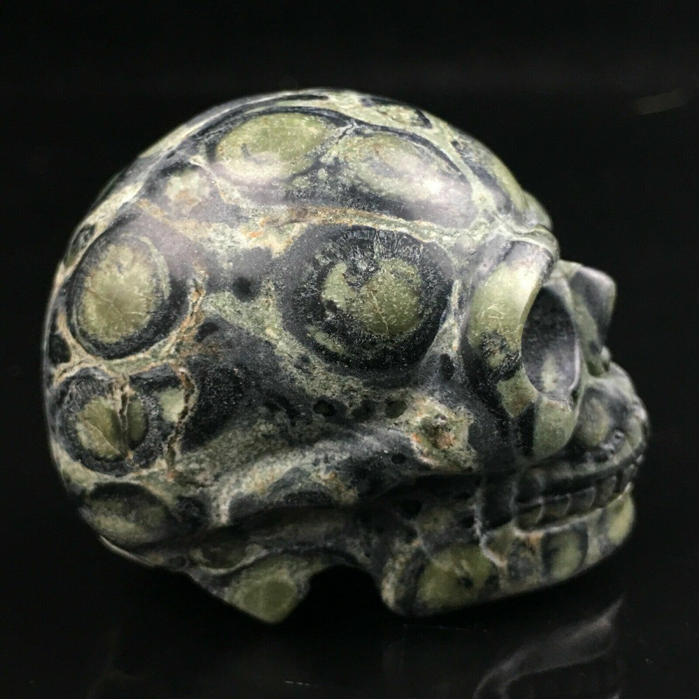 2″ Natural Kambaba Jasper Quartz Crystal Skull Carved Skull Reiki Healing 1pc