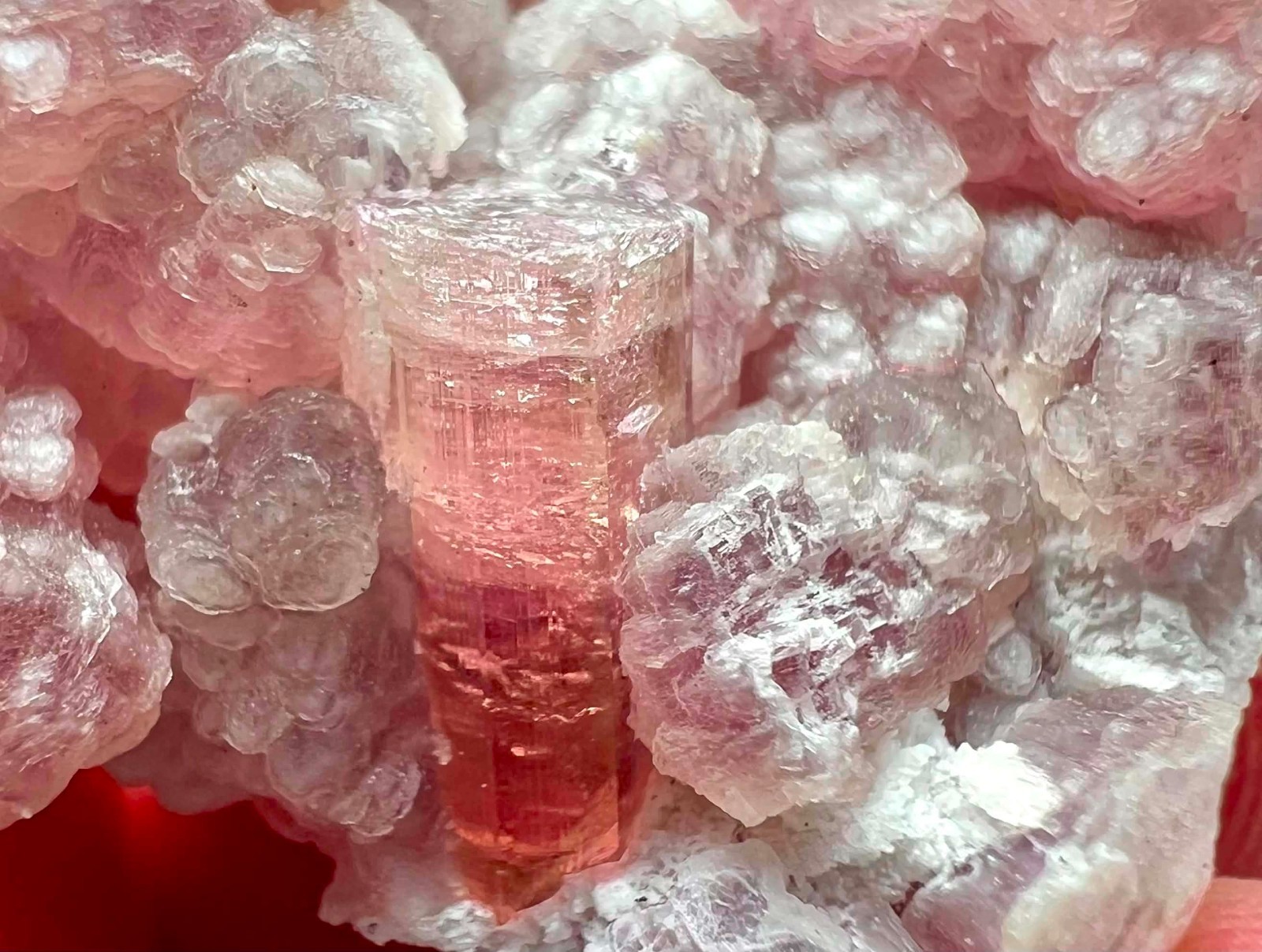 88 Carat Ultra Rare !!! Pink Color Tourmaline Crystals On Mica @Afg