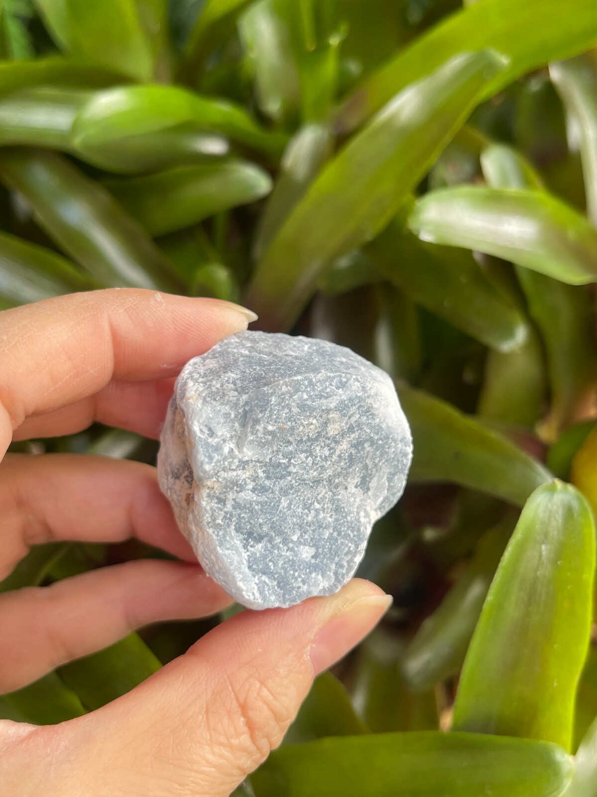 Angelite Raw Stone 1.5-2 Inches, Natural Rough Angelite, Wholesale Bulk Lot