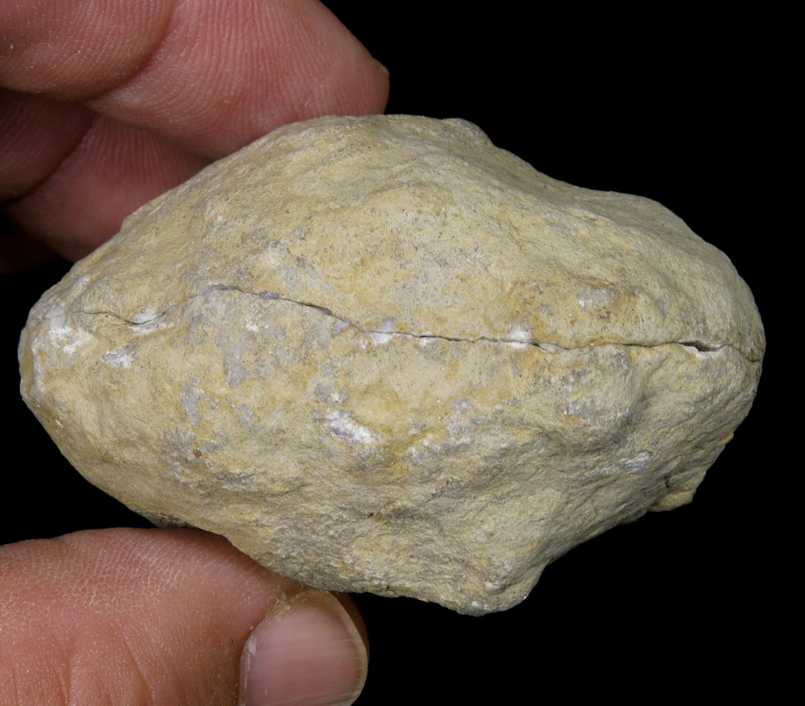 Pink Dogtooth Calcite with large crystal group 2-1/2″ Keokuk geode !!!
