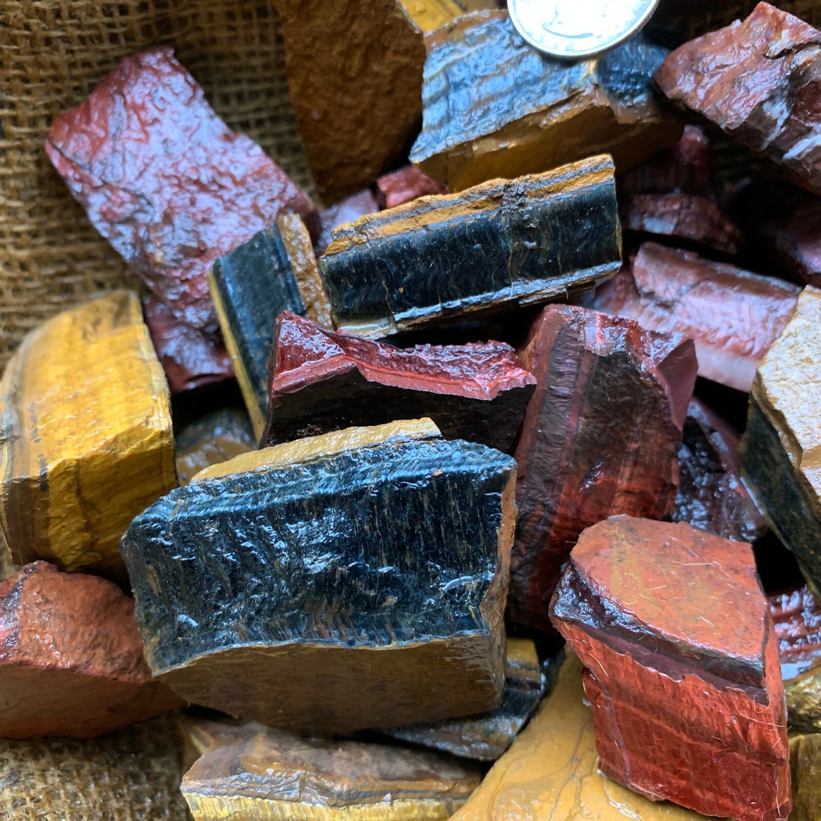 MIXED Tiger Eye Rough (RED, BLUE, GOLD)- 1000 Carat Lots+a FREE Faceted Gemstone
