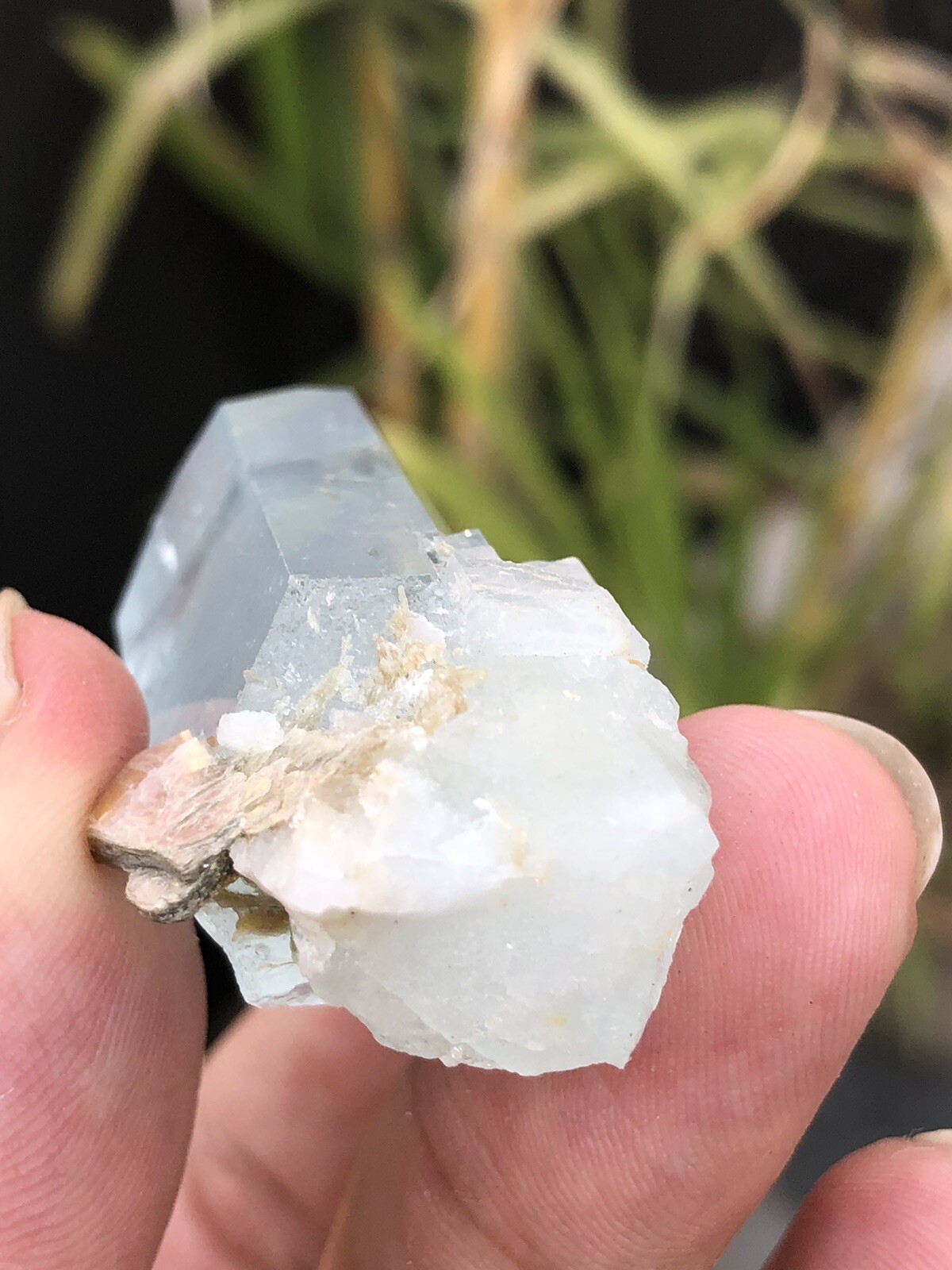 38.9 Amazing Top Class Aqumarine Crystal Natural DESIGNED shigar Pakistan