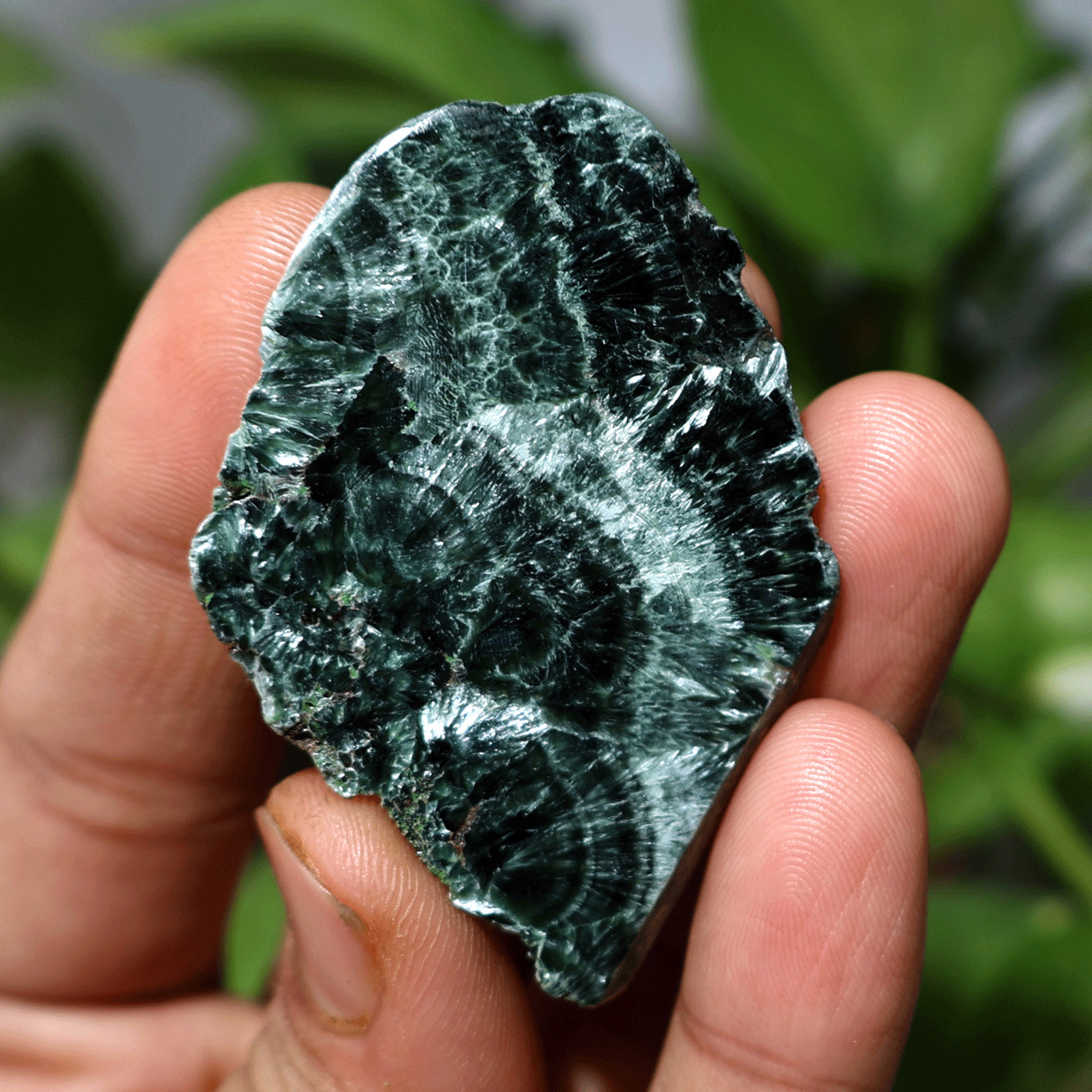 Angel Feathers~ 16.6g Natural Seraphinite Chatoyant Polished Palm Crystal Slab