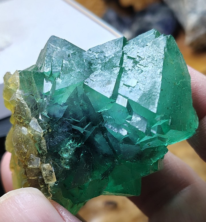 Neon Green Yellow Fluorite octahedrons TOP CLASS Riemvasmaak South Africa