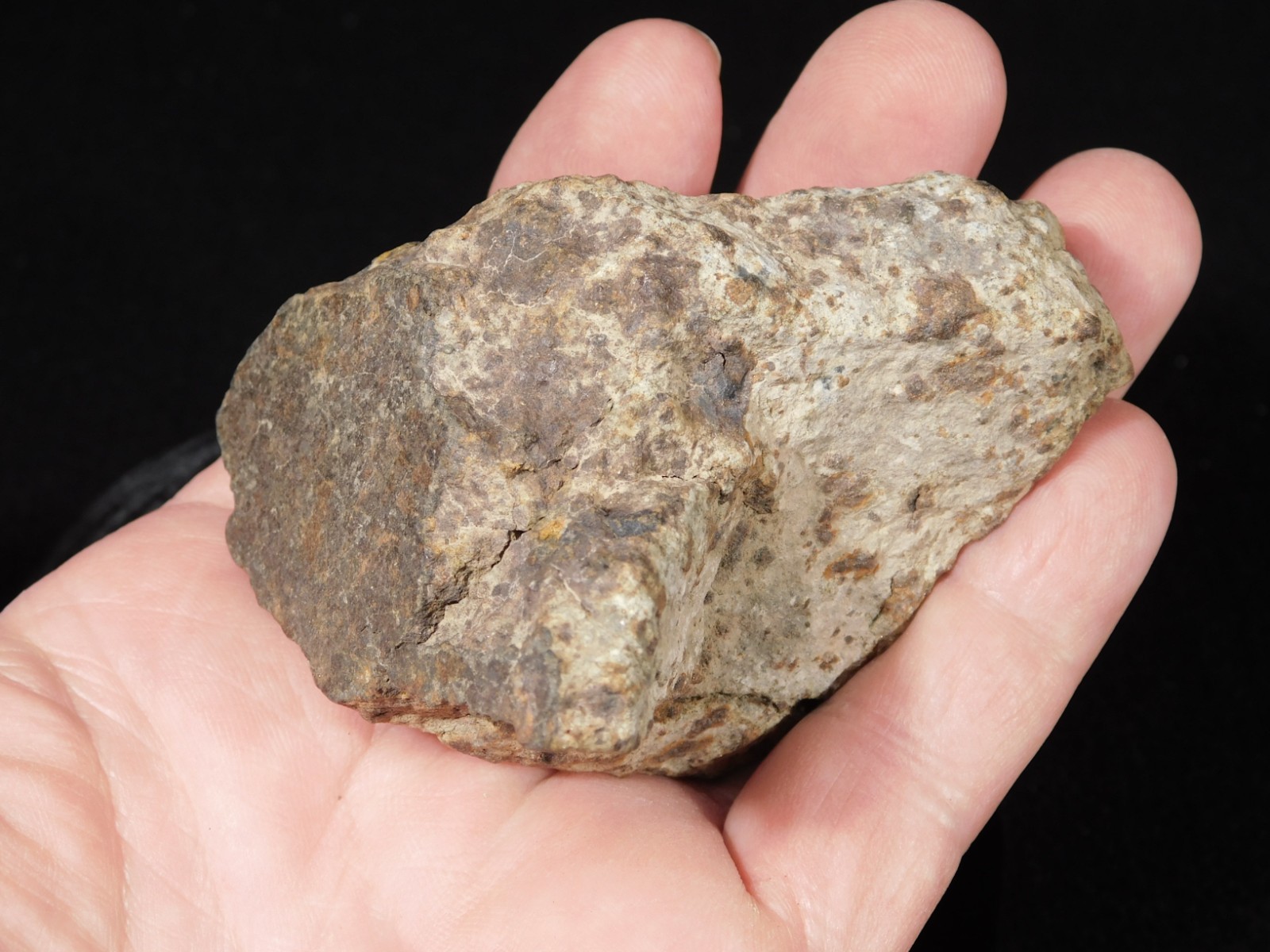 Larger! Classified NWA 8245 METEORITE 100% Natural! Erfoud, Morocco 223gr