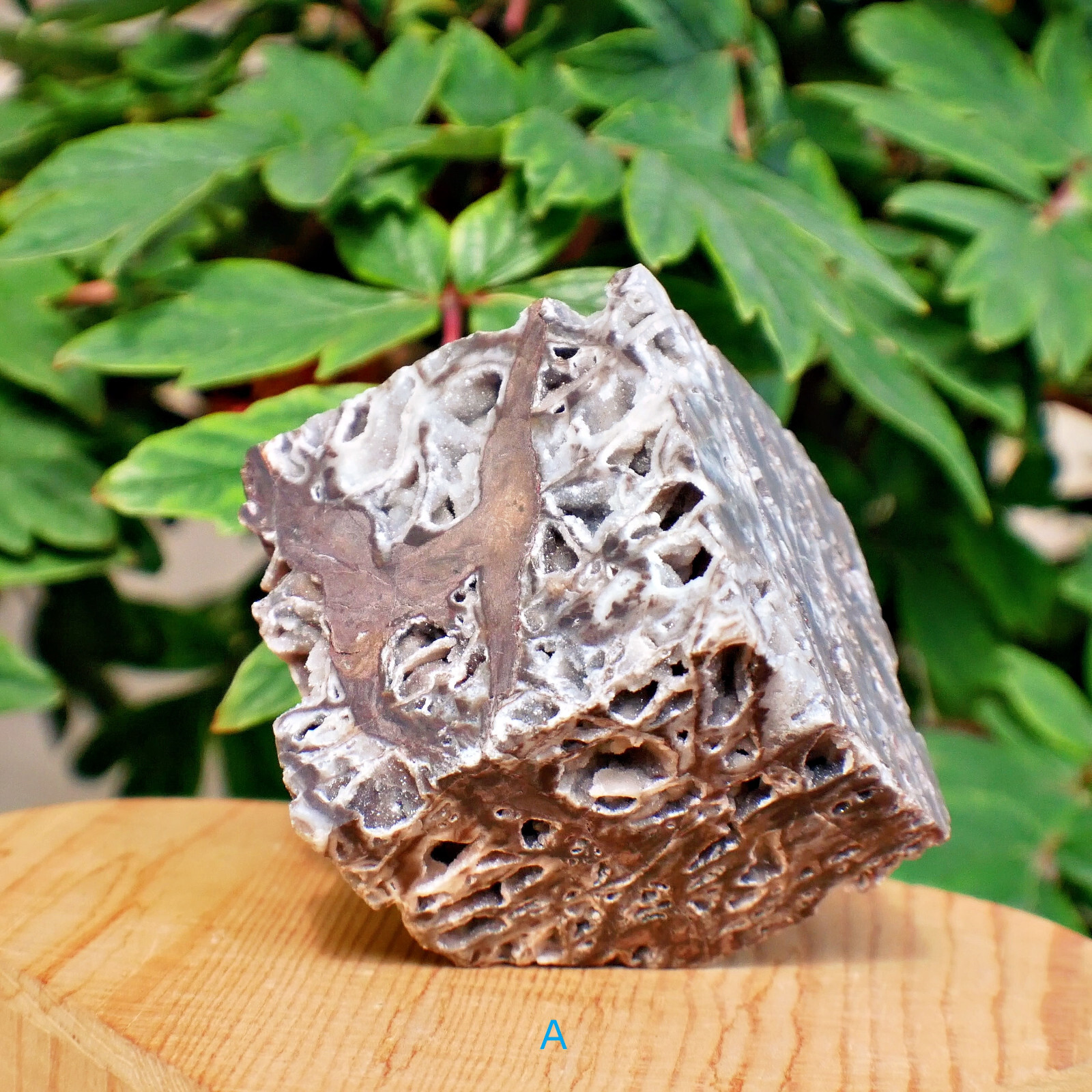 2″ Sphalerite Druzy Geode Cube Crystal Healing Gemstone Natural Mineral Specimen