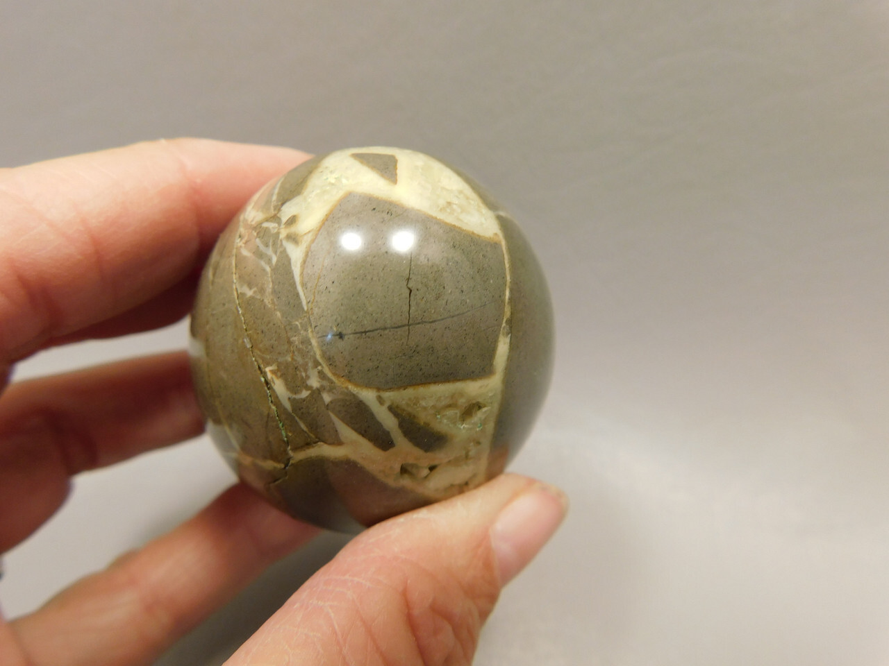 Septarian Nodule Egg Shaped 2.35 inch Polished Rock Utah Stone #O6