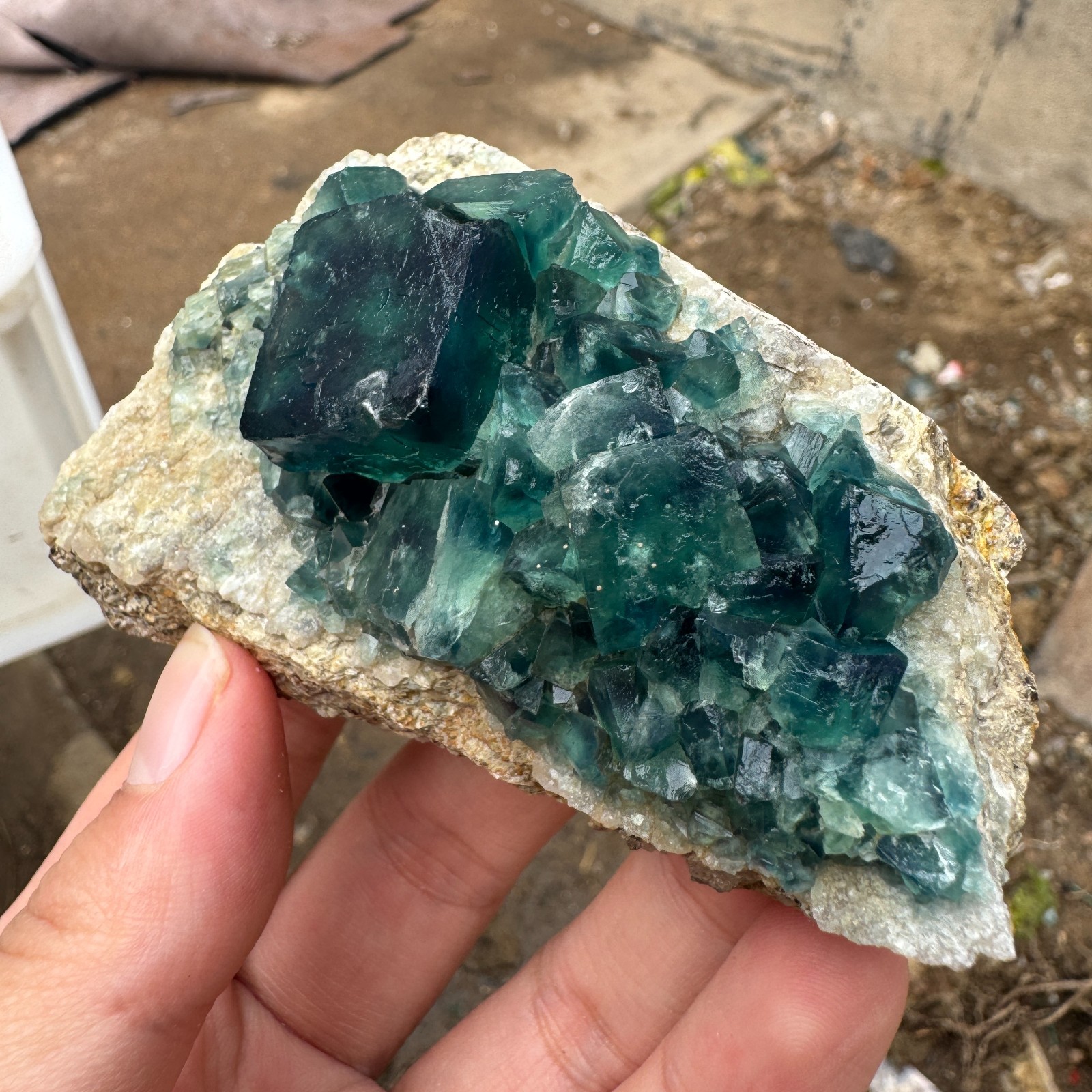 200G Natural cubic green fluorite crystal cluster rough mineral specimen Healing