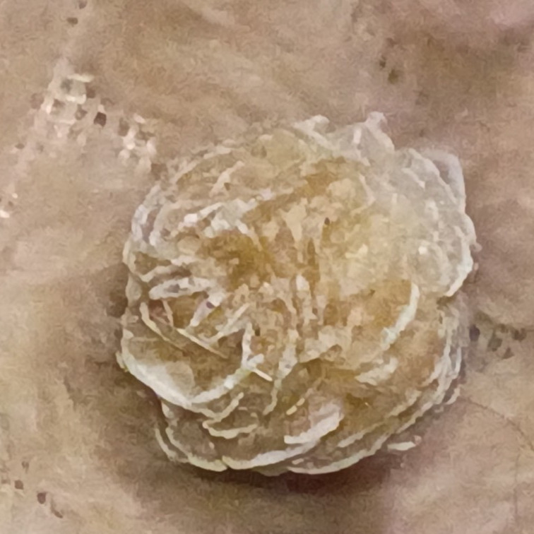 Desert Rose Selenite Gypsum Crystal Cluster Specimen, Rosette-Shaped
