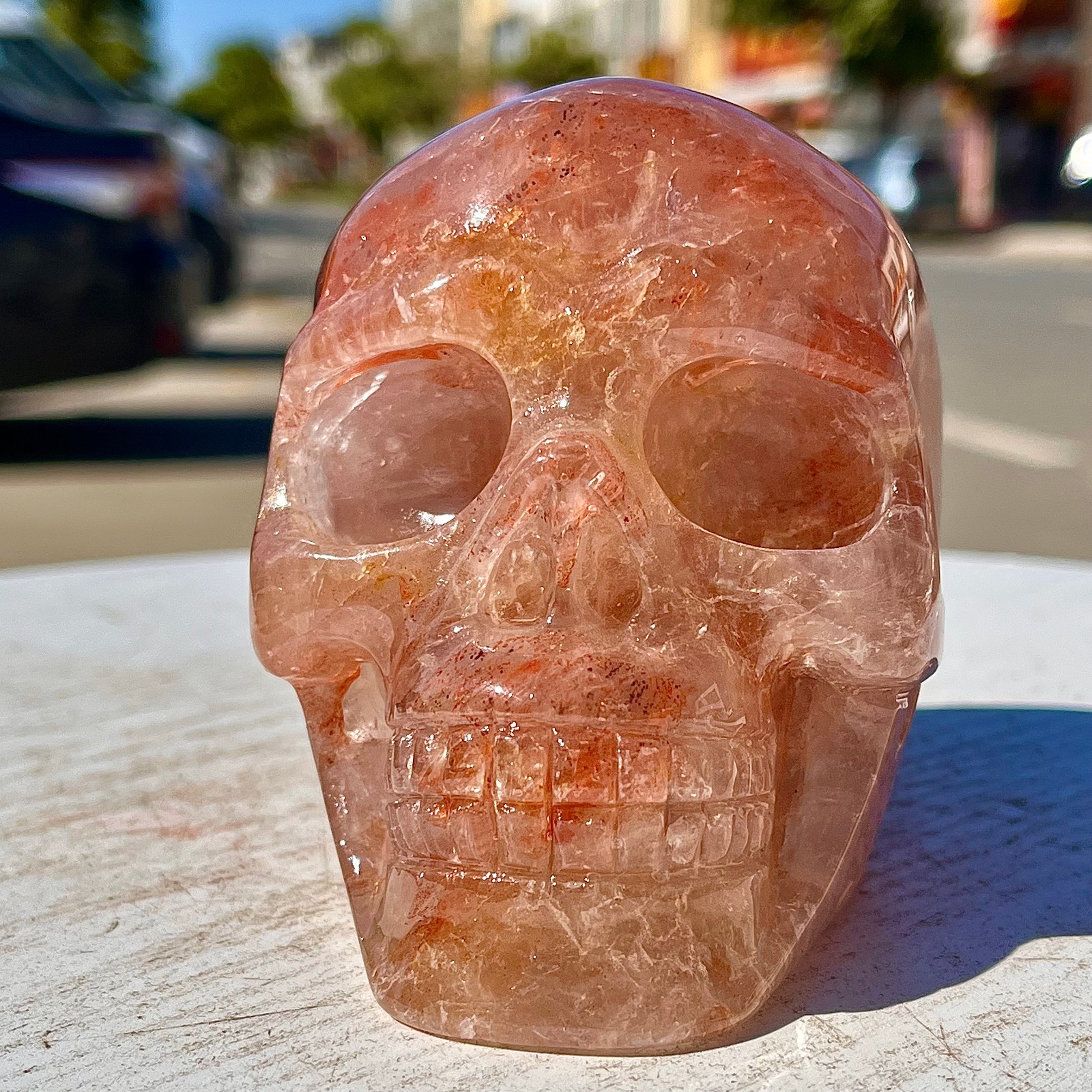 2.53LB Natural dreamy red gum flower skull hand carved skull healing