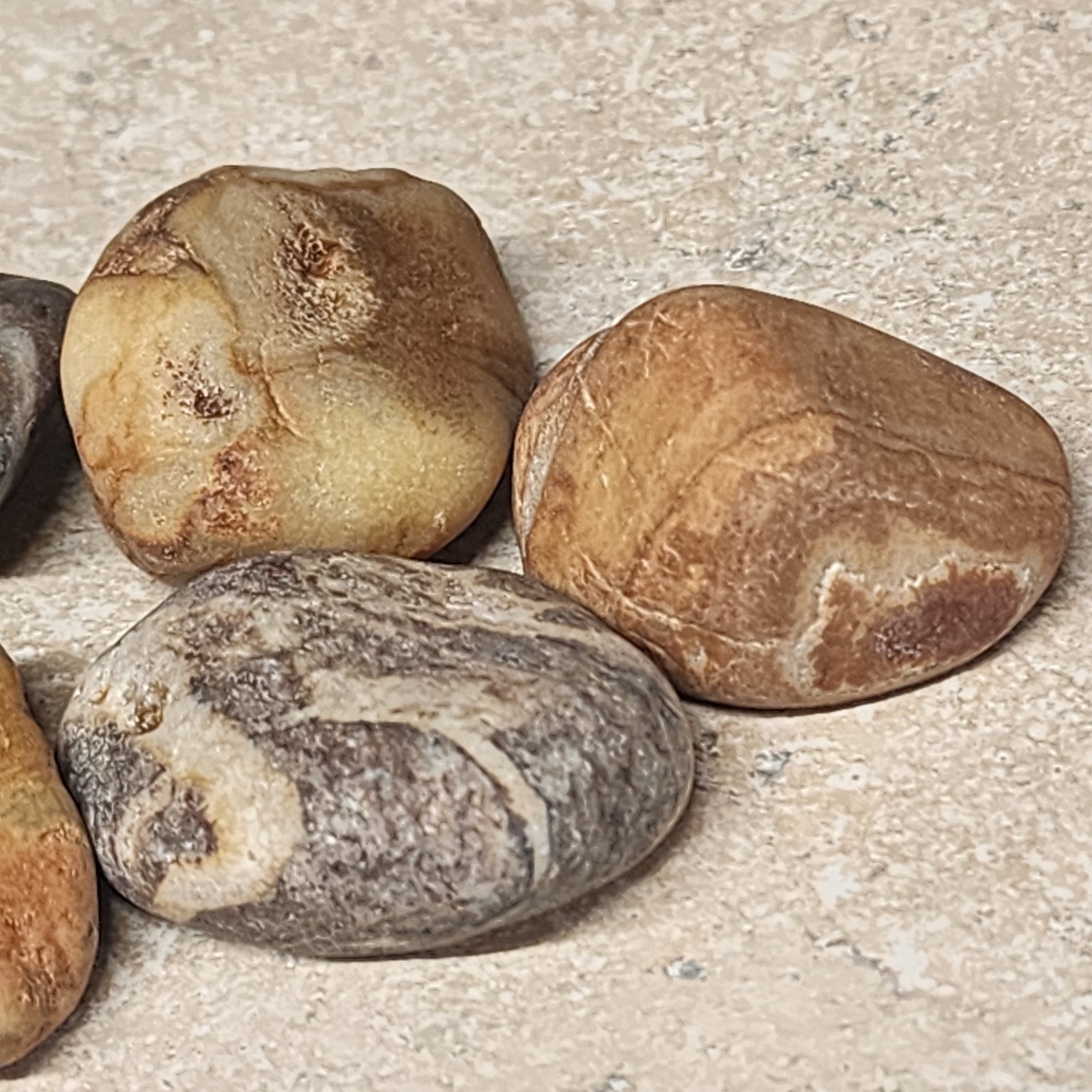 6 – Lake Superior Agates (Michigan) Rough / NOT Polished