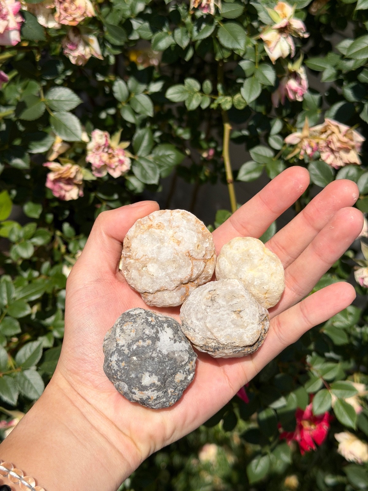 Wholesale Lot – 2 lbs Natural Unbroken Quartz Geode – 12 to 16 PCS